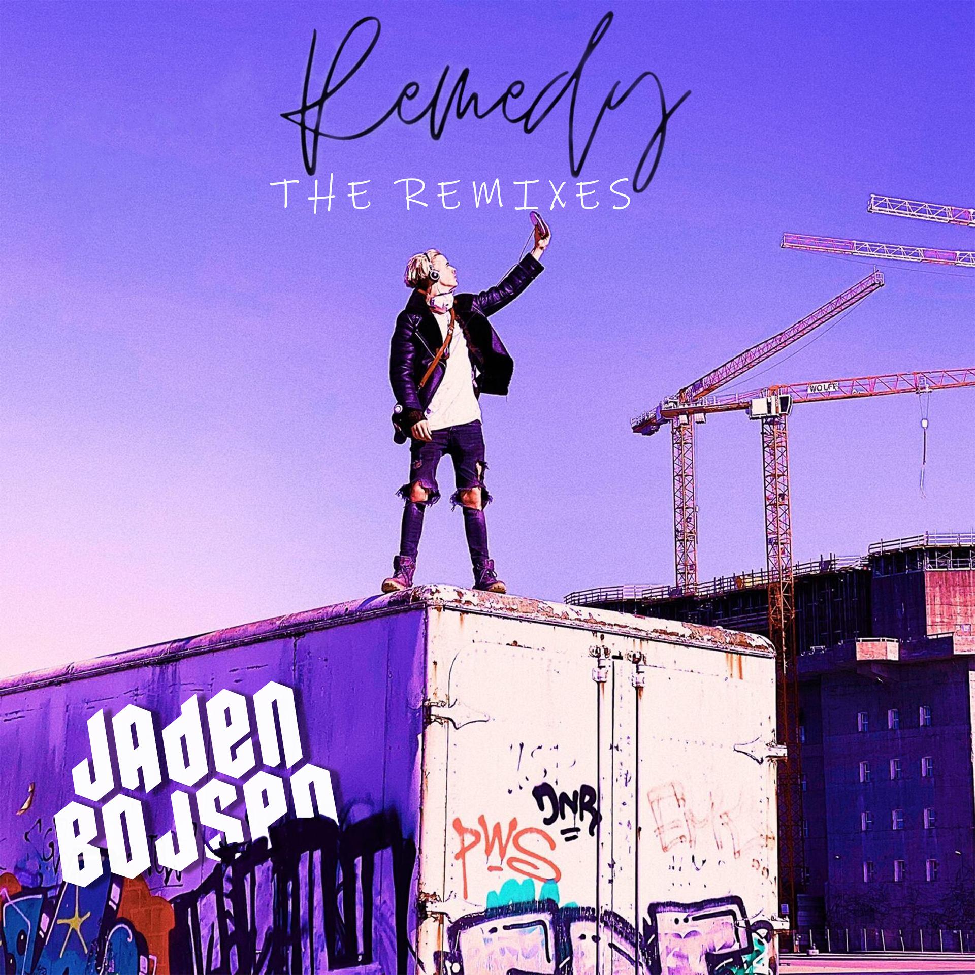 Постер альбома Remedy (The Remixes)