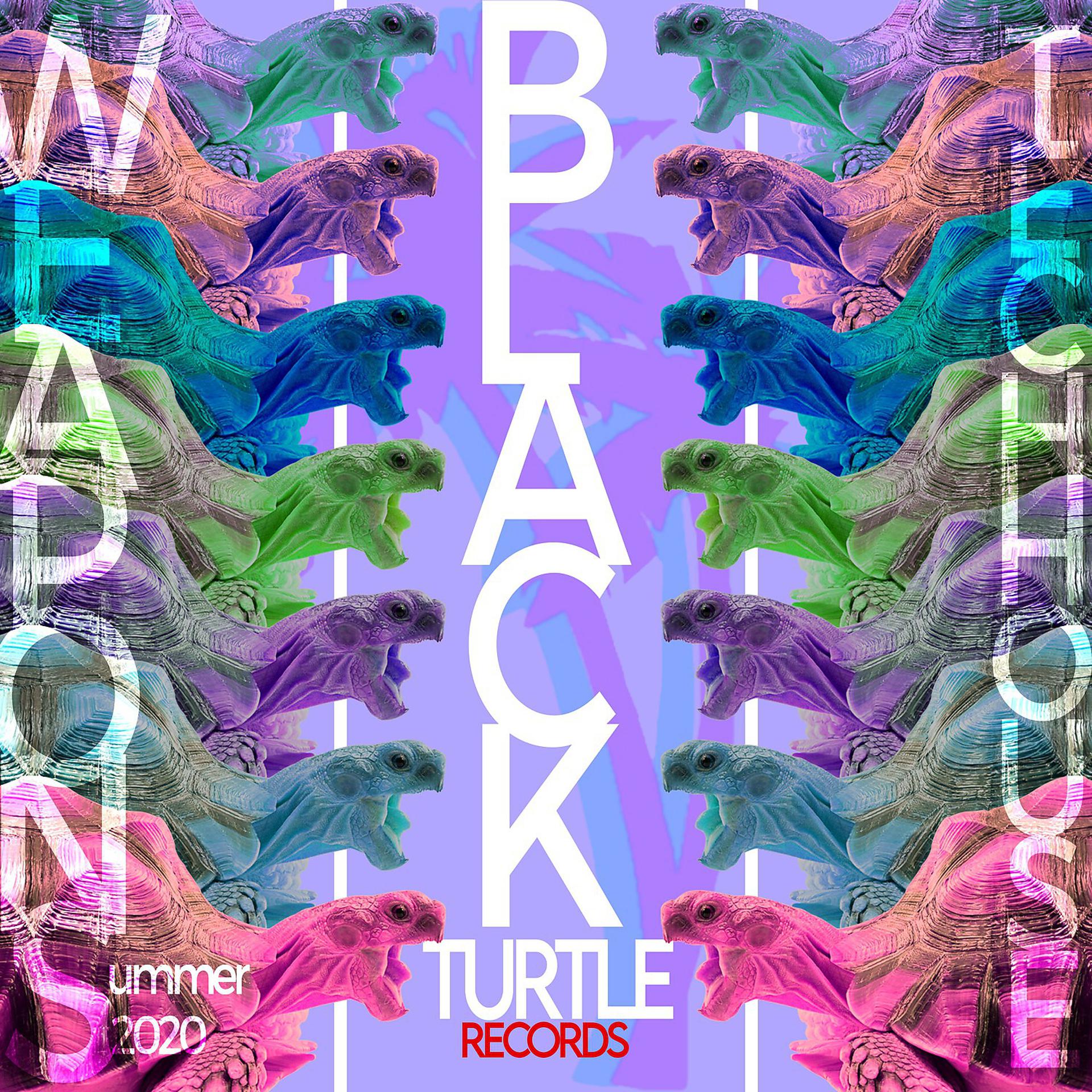 Постер альбома Black Turtle Weapons Tech House Summer 2020