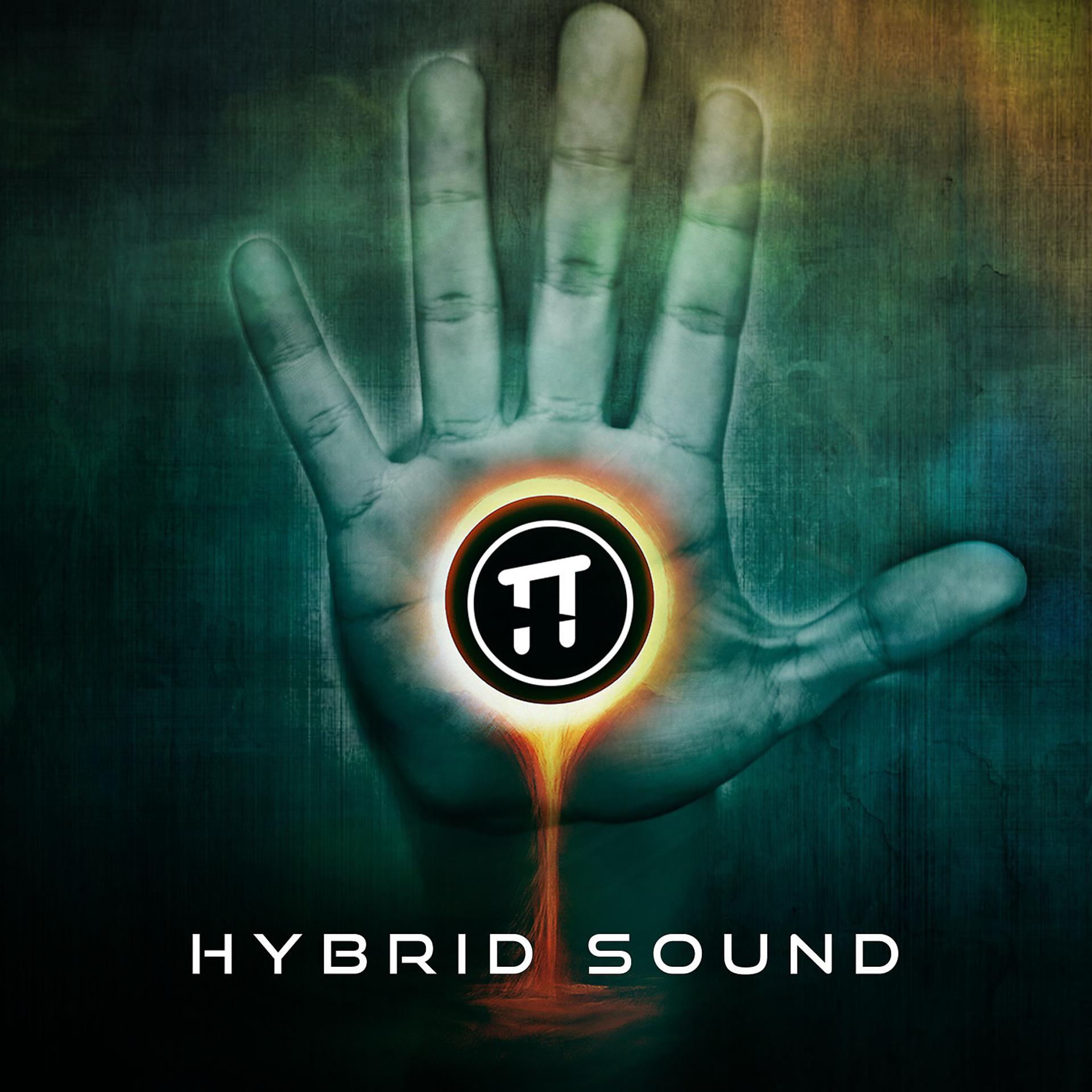 Постер альбома Hybrid Sound
