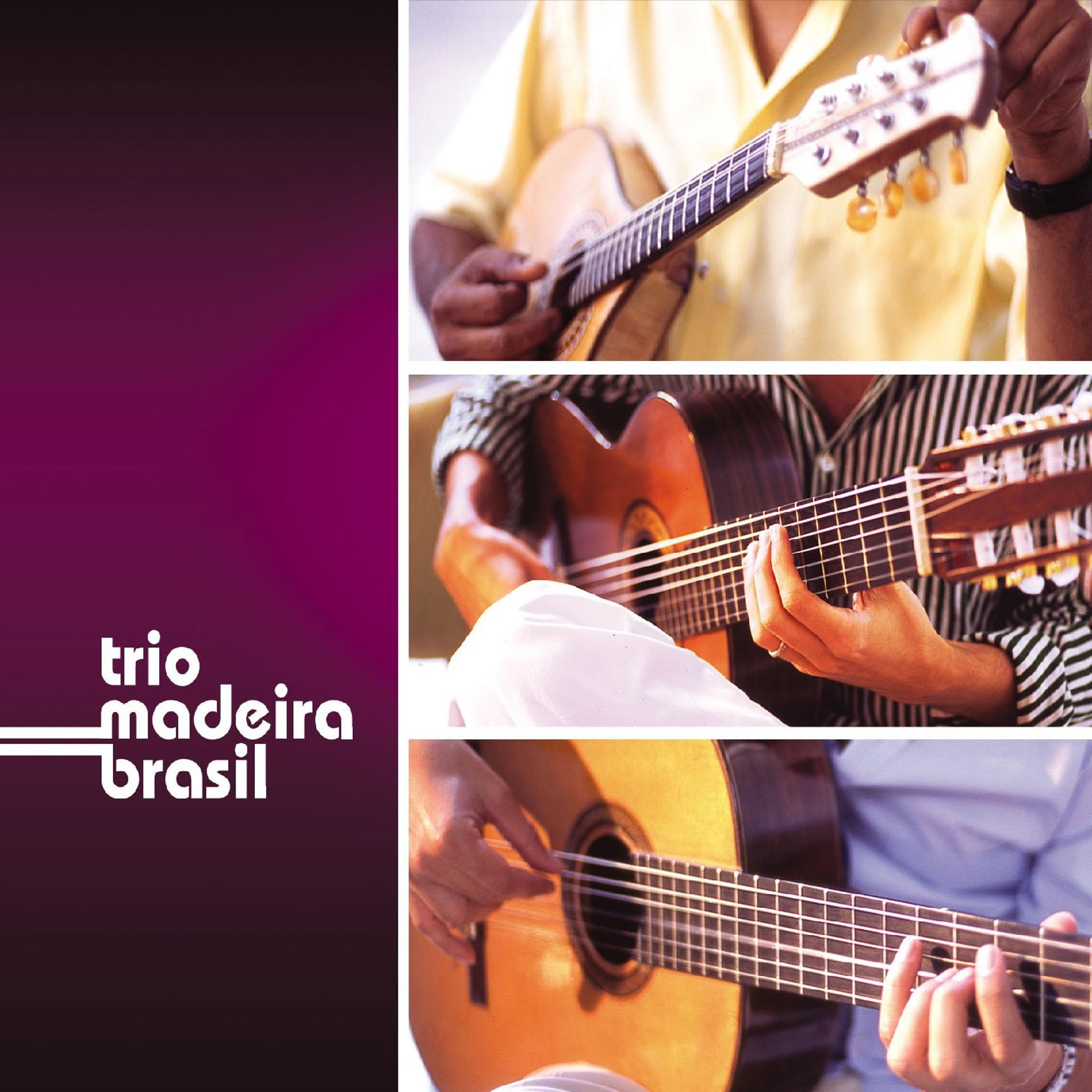 Постер альбома Trio Madeira Brasil