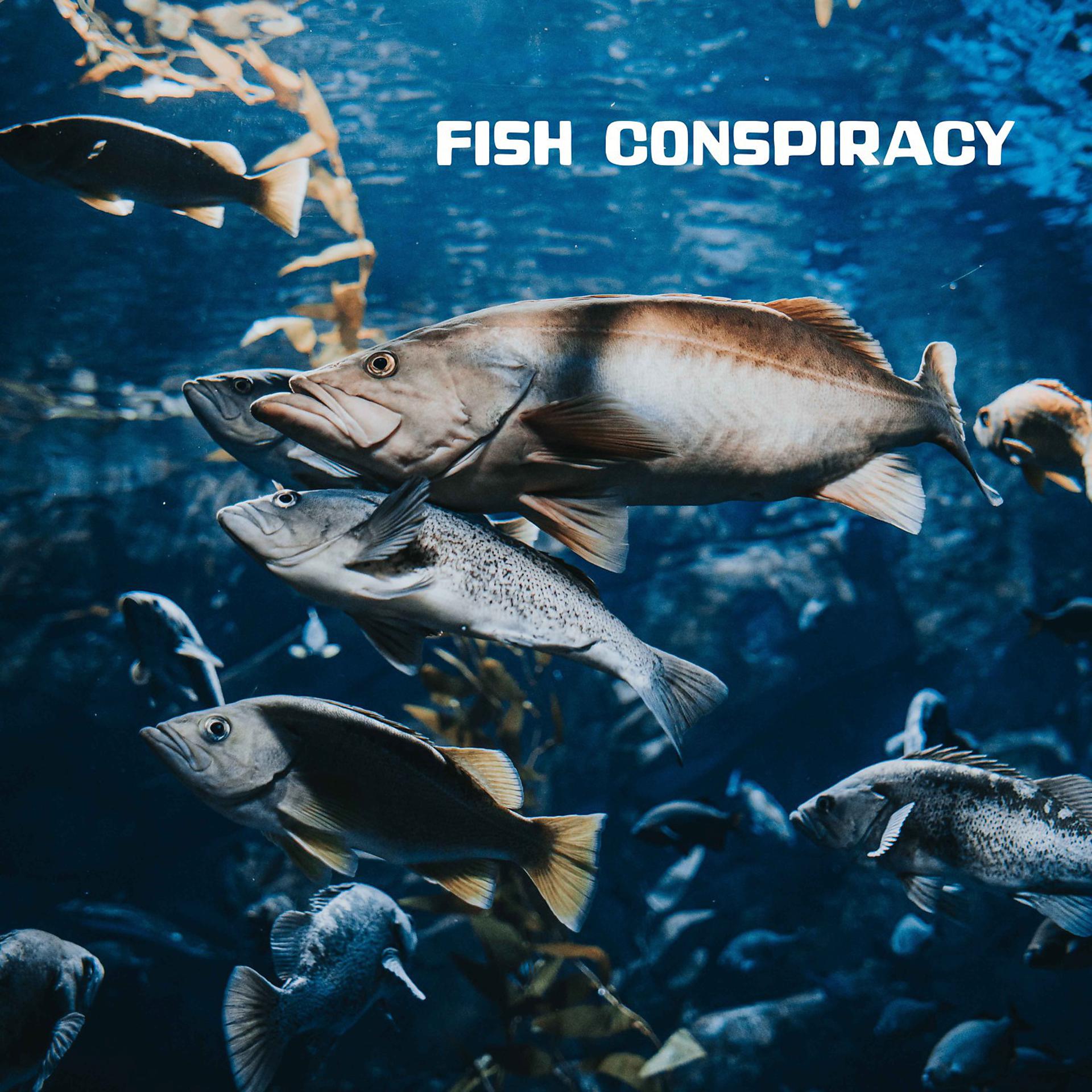 Постер альбома Fish Conspiracy