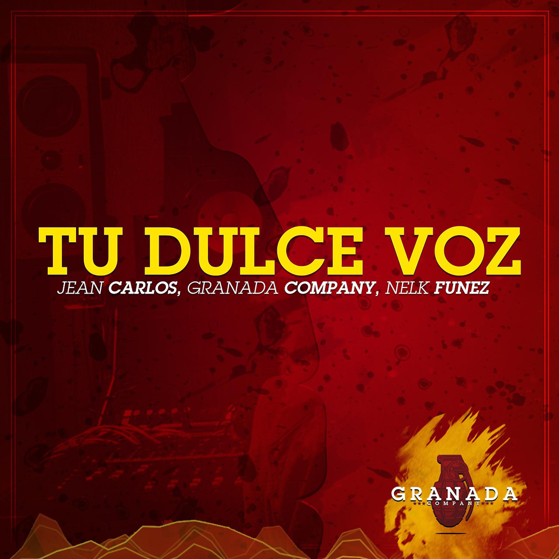 Постер альбома Tu Dulce Voz