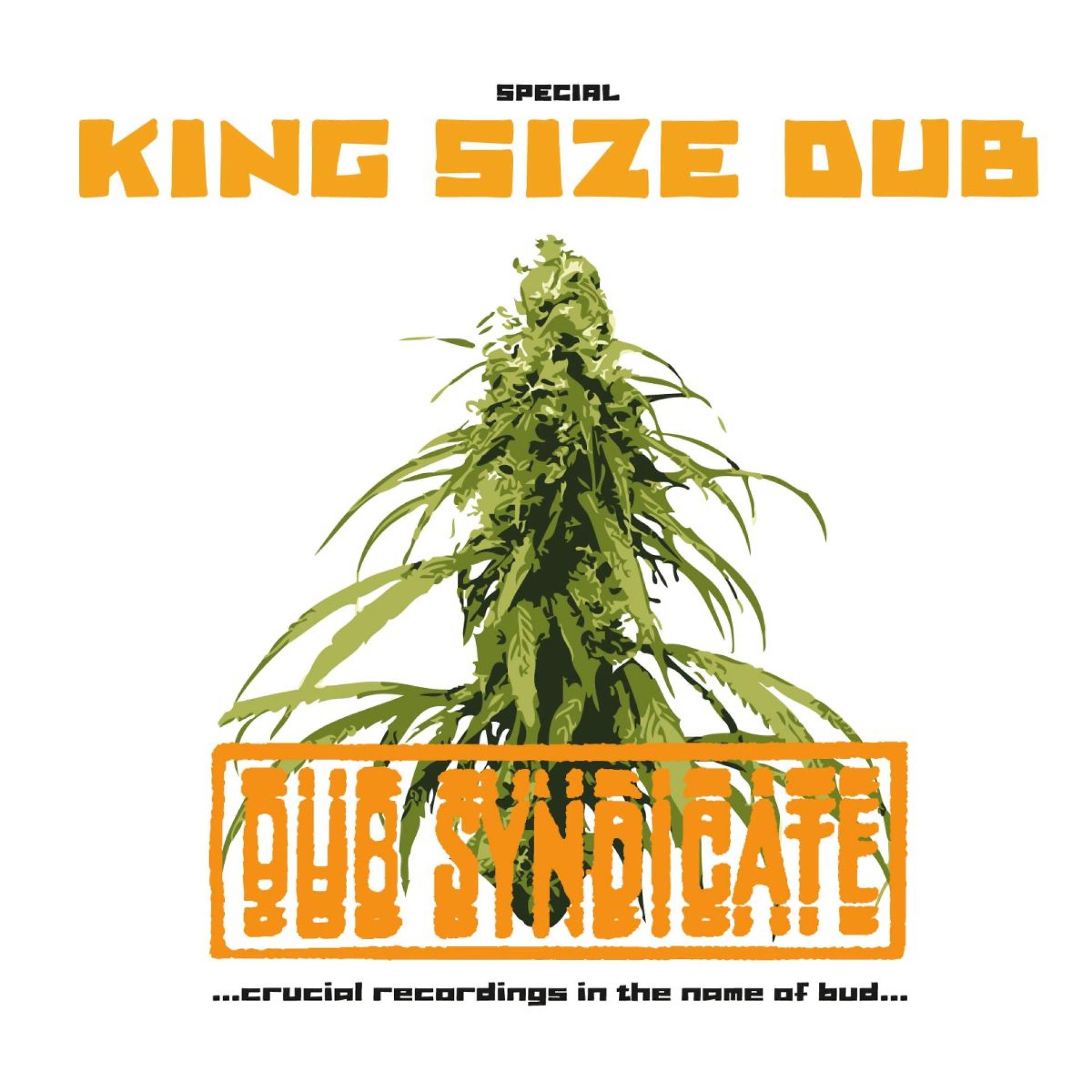 Постер альбома Special King Size Dub