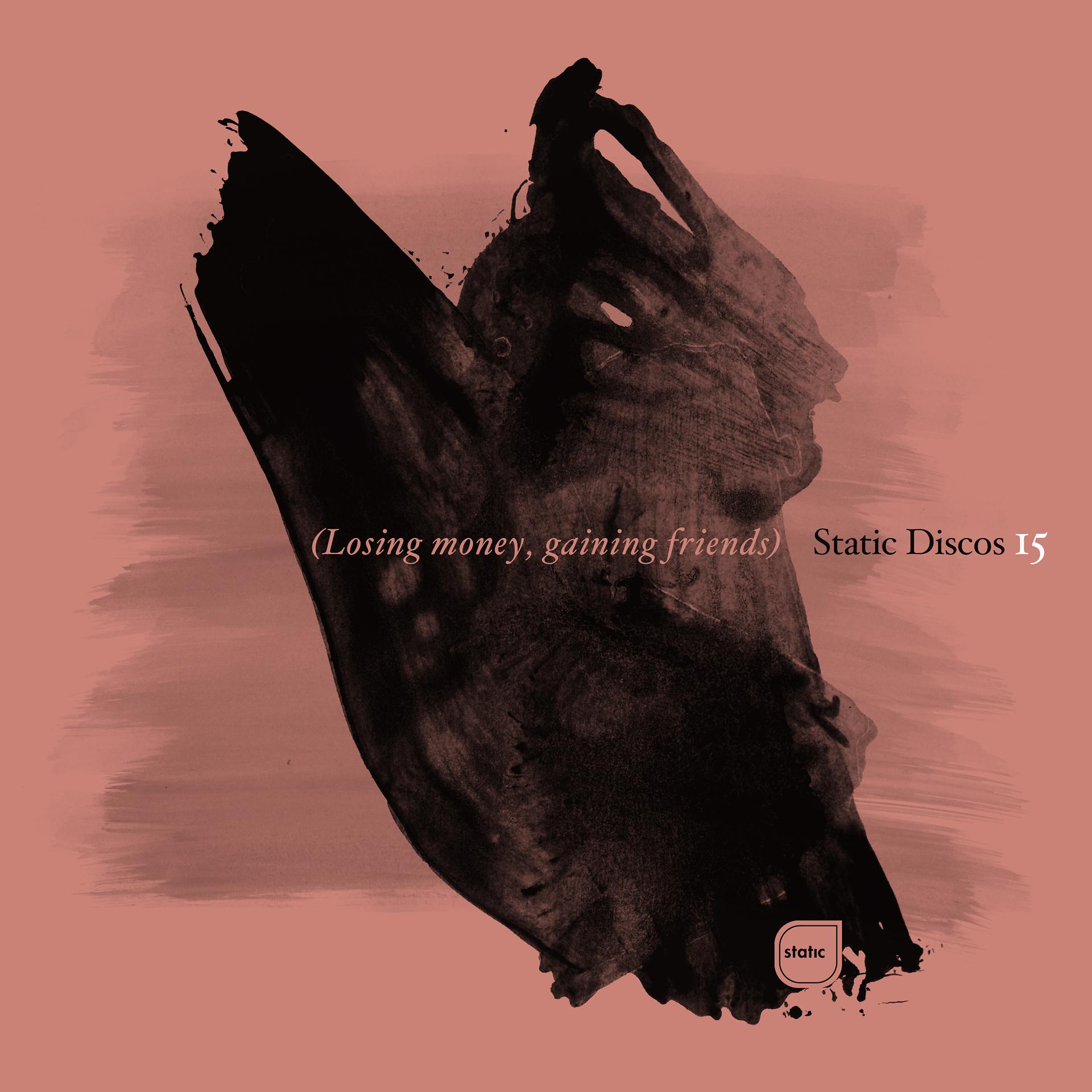Постер альбома Static Discos 15: Losing Money, Gaining Friends (2002-2006)