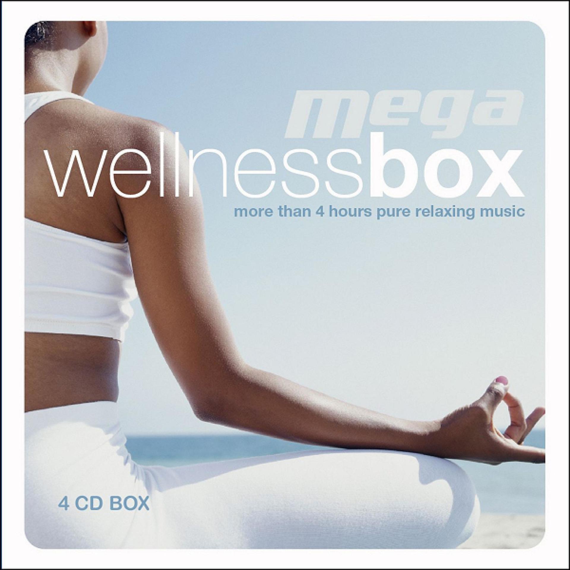 Постер альбома Mega Wellness Box