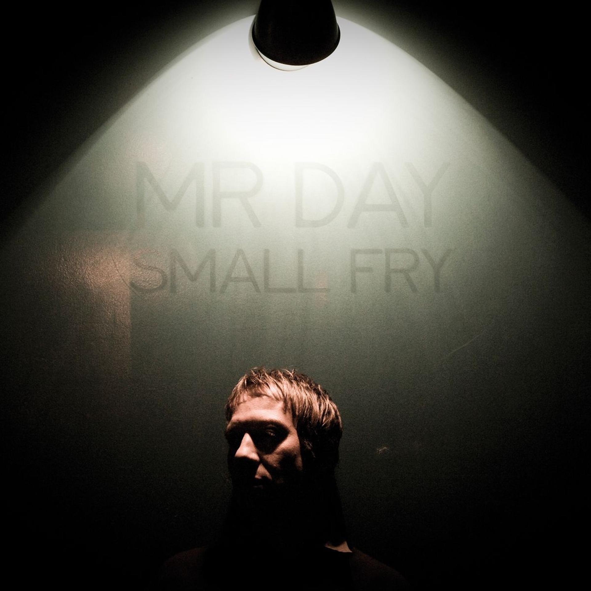 Постер альбома Small Fry (Bonus Edition)