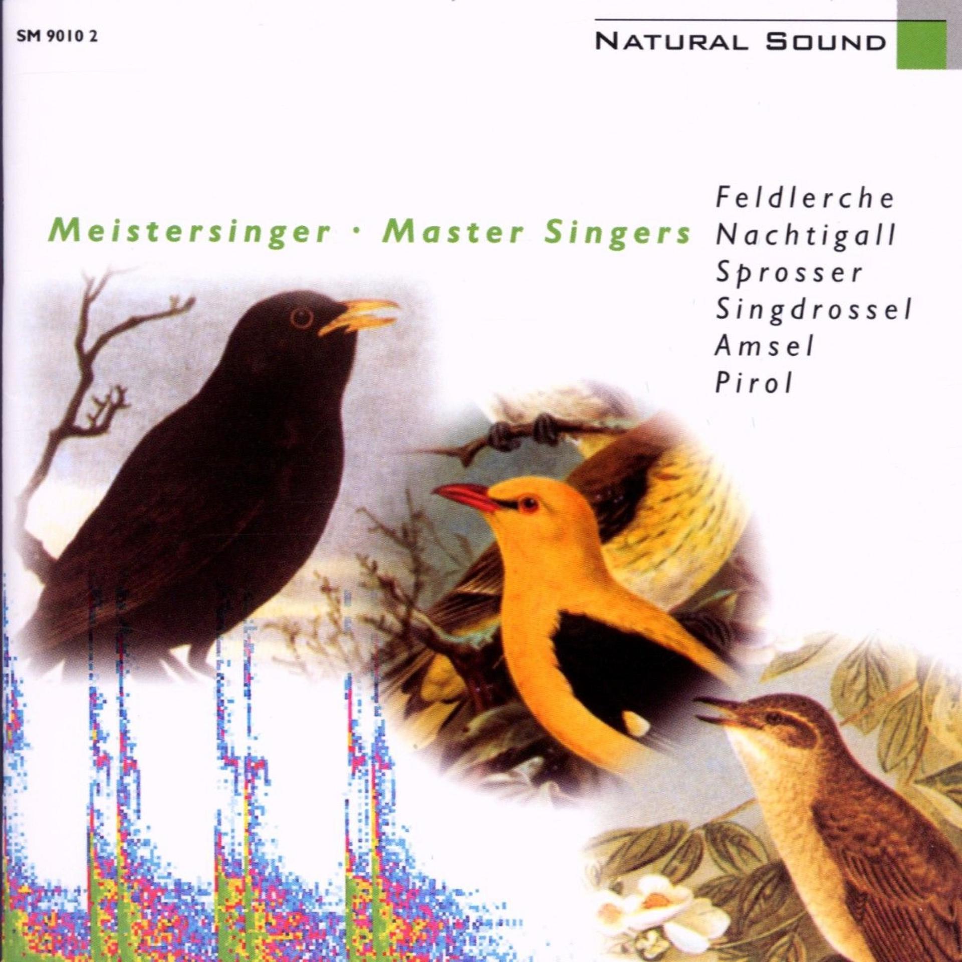Постер альбома Natural Sound: Meistersinger / Master Singers