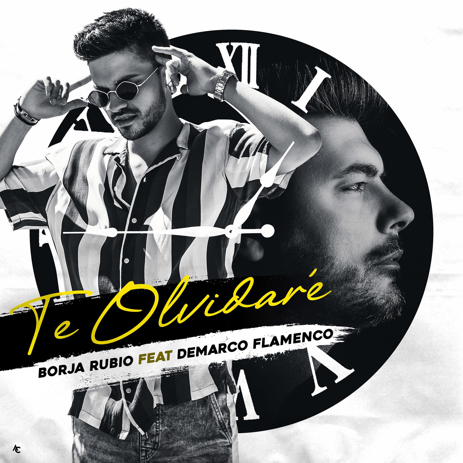Постер альбома Te Olvidaré (feat. Demarco Flamenco)