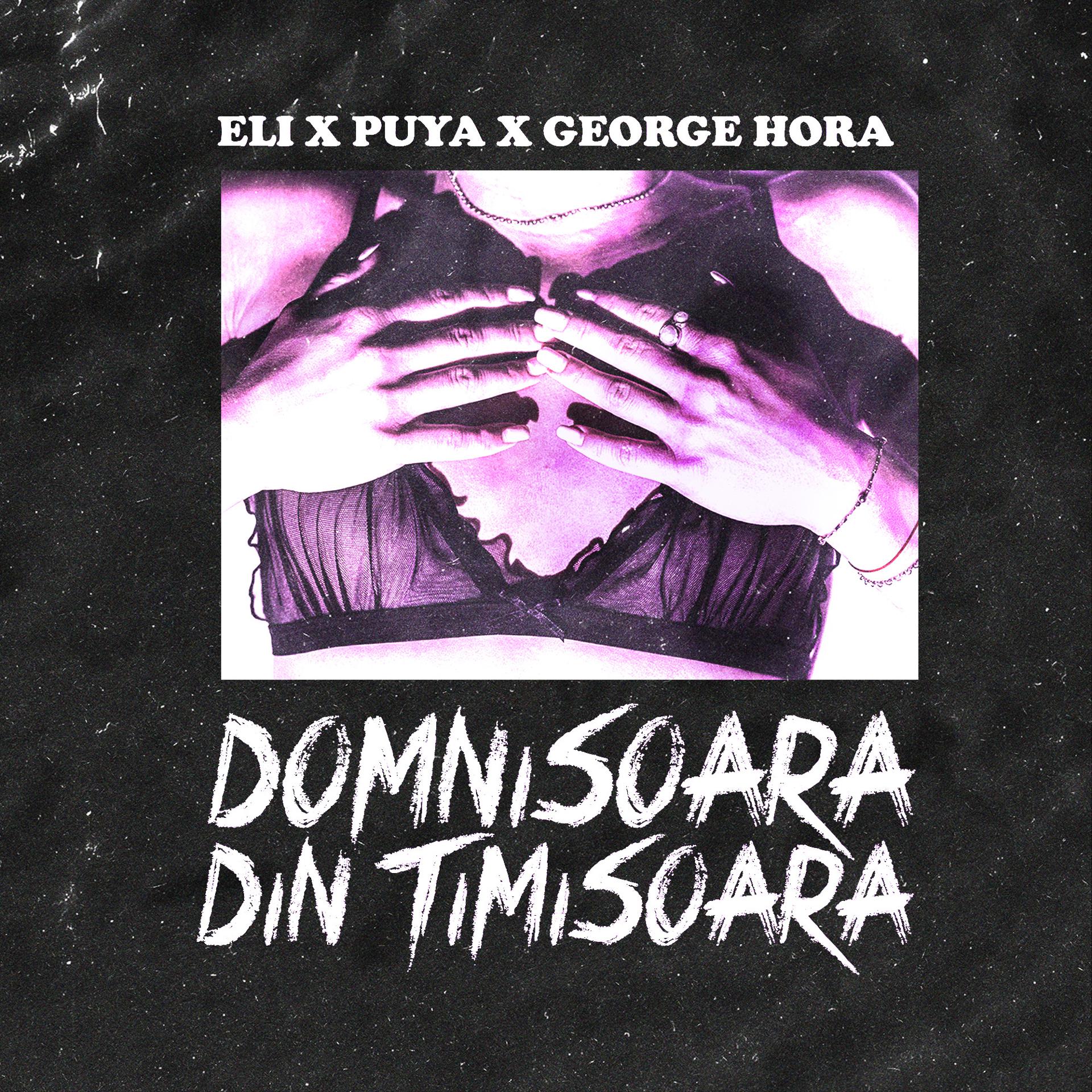 Постер альбома Domnisoara Din Timisoara