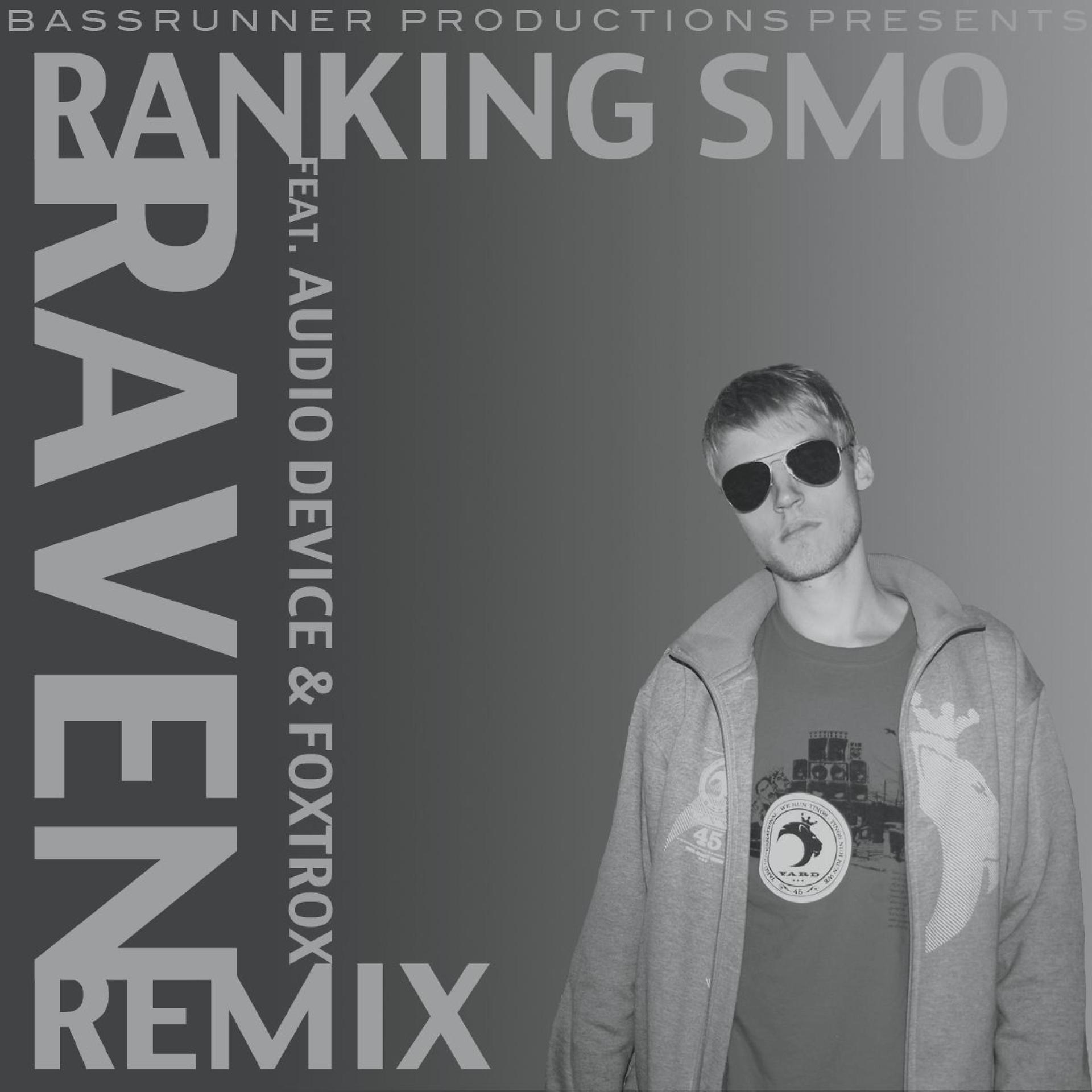 Постер альбома Raven Remix