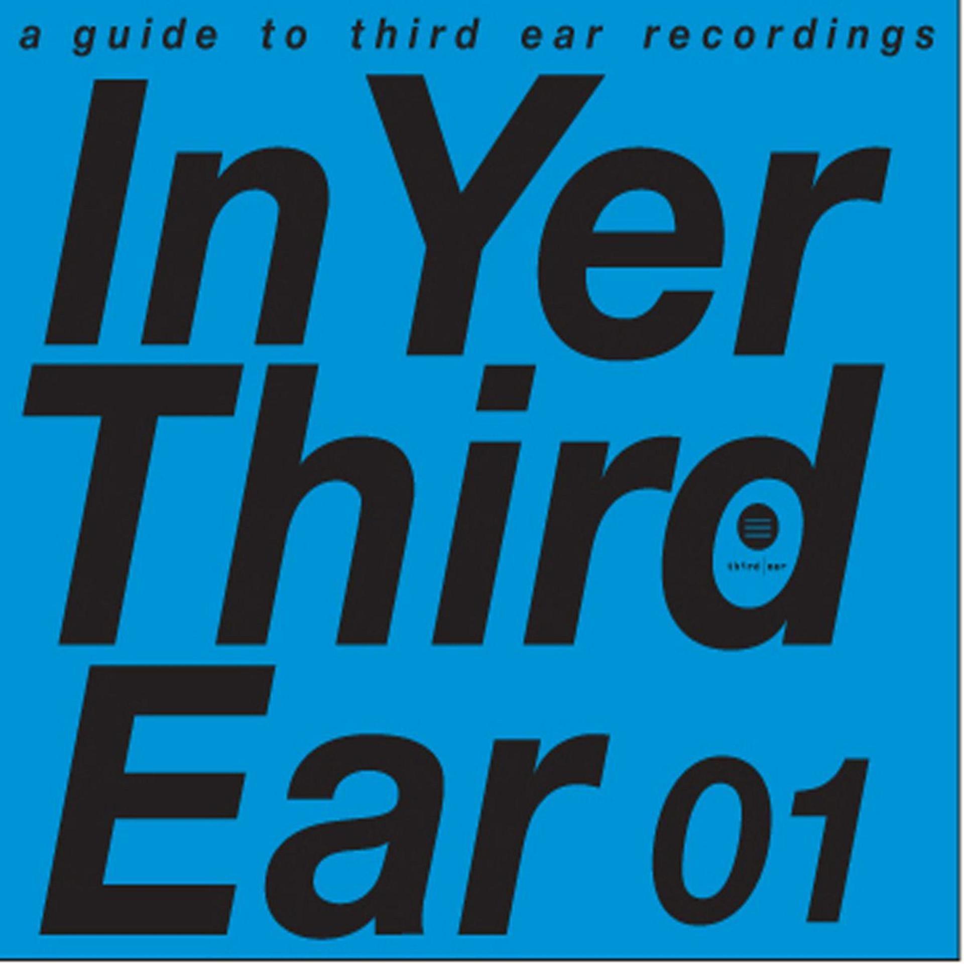 Постер альбома In Yer Third Ear 01