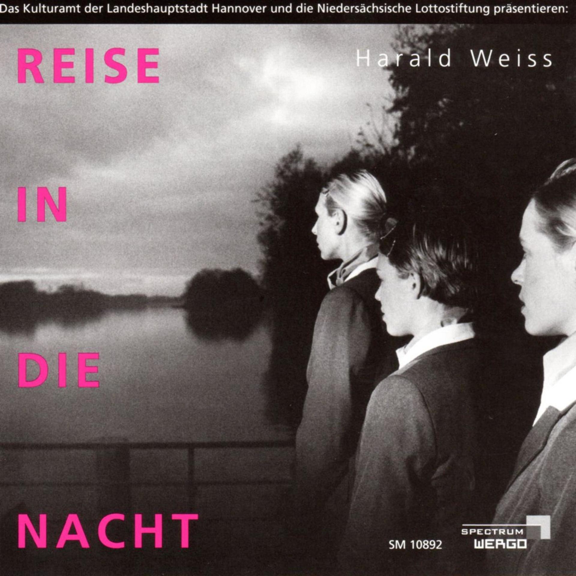 Постер альбома Reise in Die Nacht