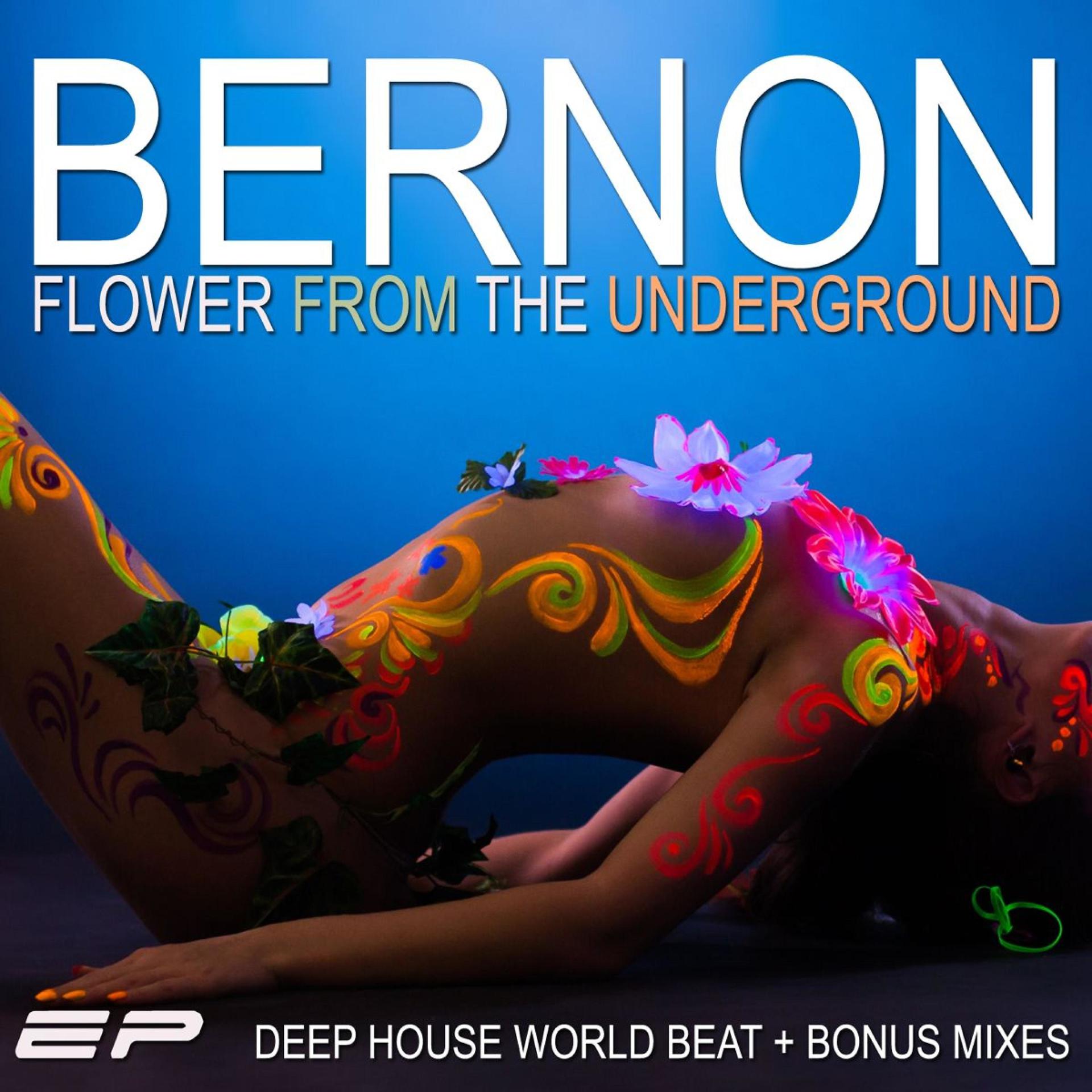Постер альбома Flower from the Underground (Deep House World Beat)