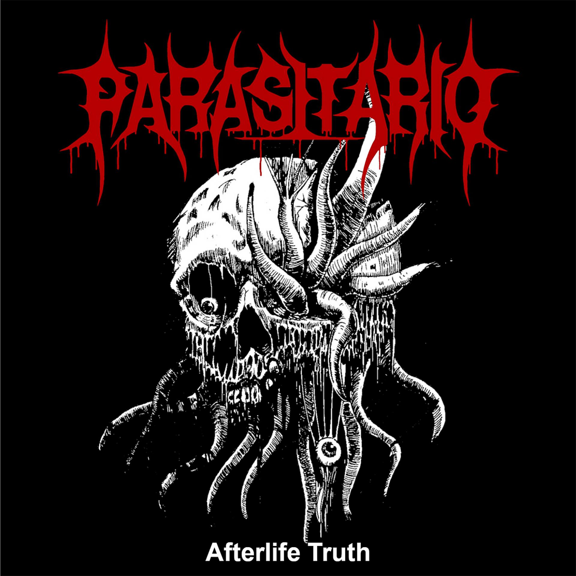 Постер альбома Afterlife Truth