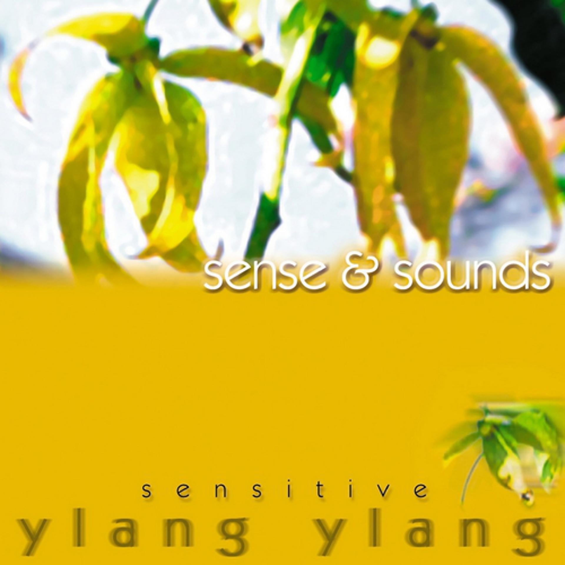Постер альбома Sensitive Ylang Ylang