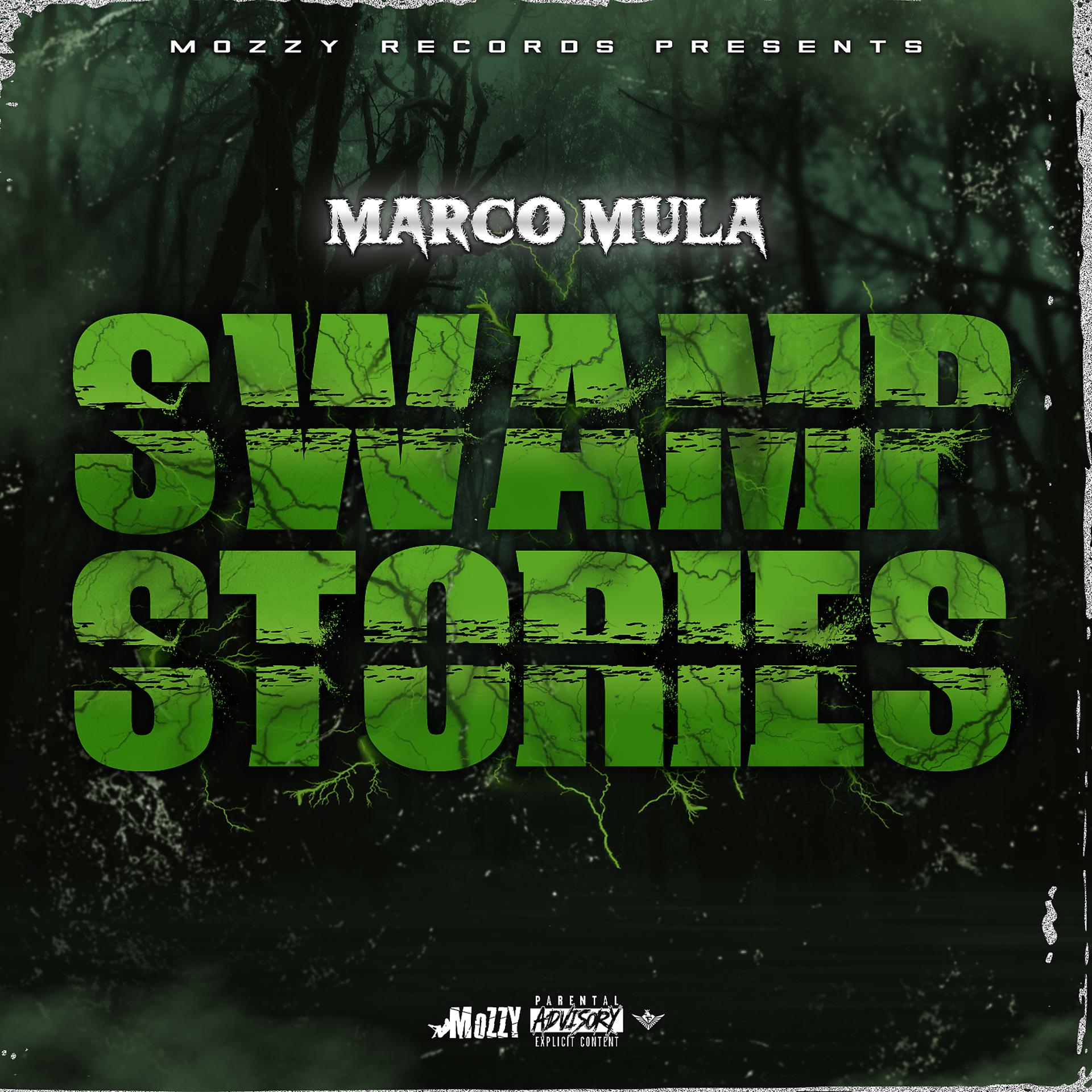 Постер альбома Swamp Stories