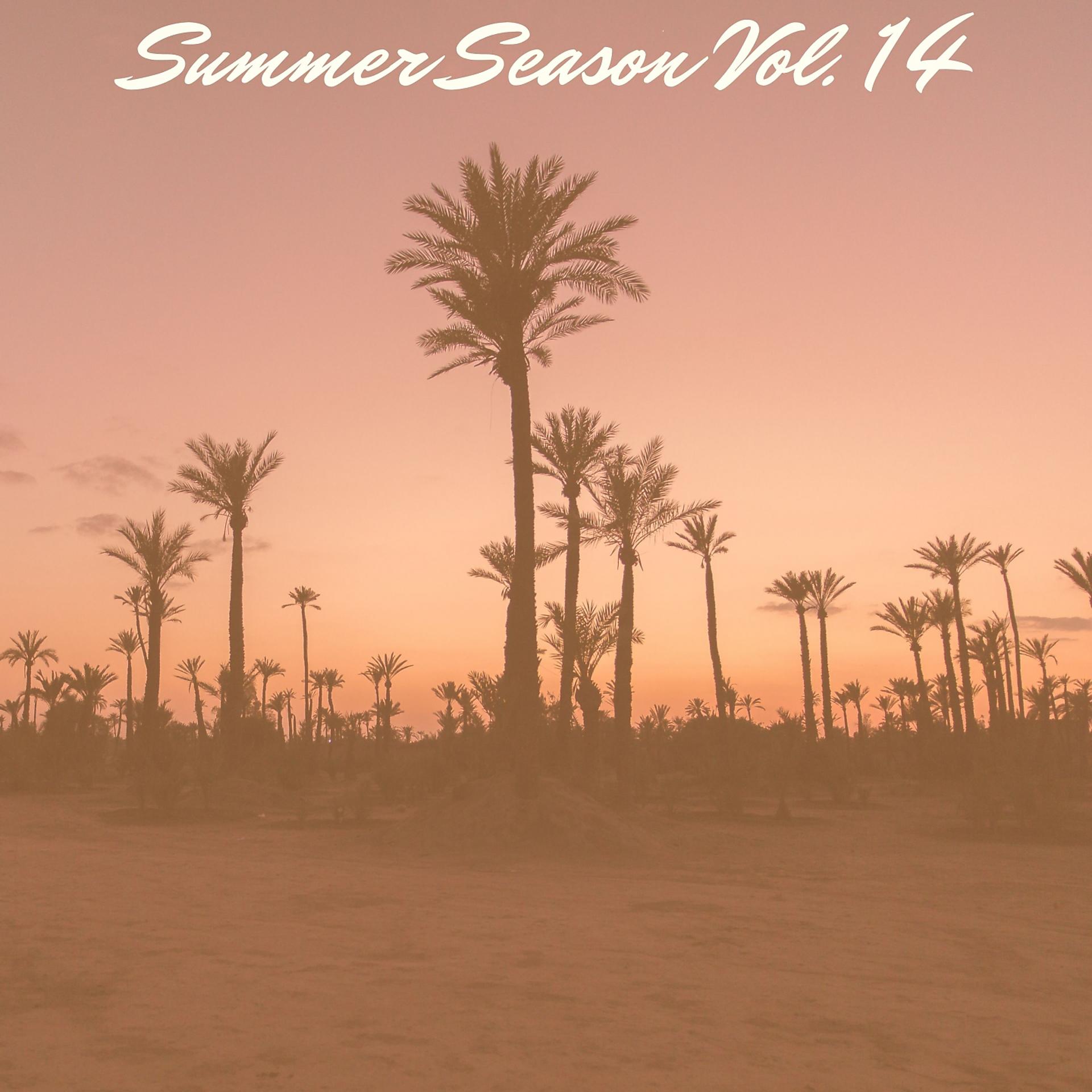 Постер альбома Summer Season Vol. 14