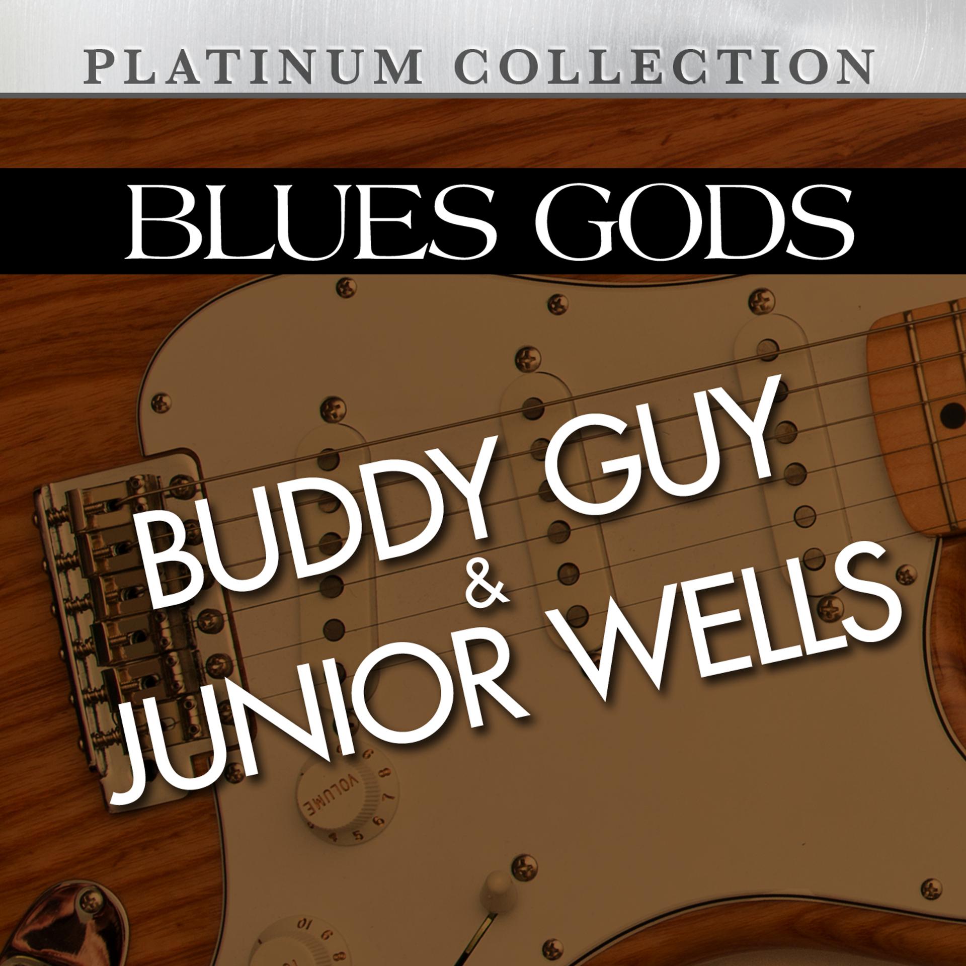 Постер альбома Blues Gods: Buddy Guy & Junior Wells