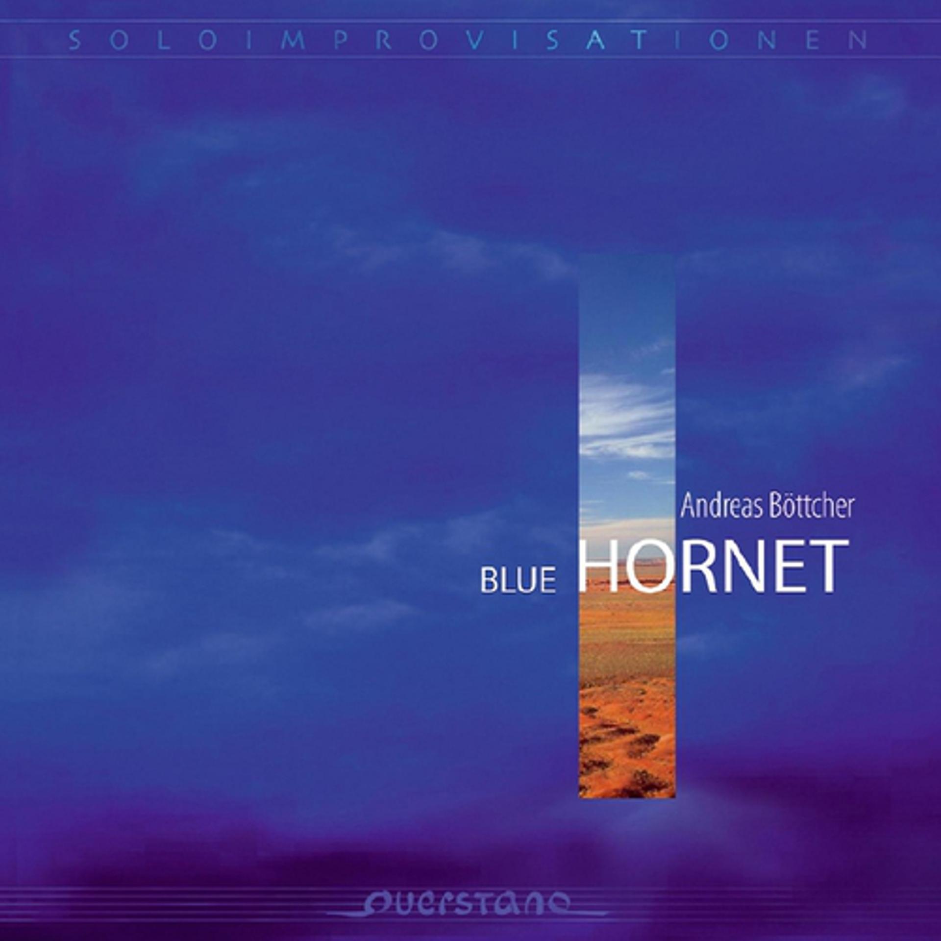 Постер альбома Blue Hornet - Soloimprovisationen