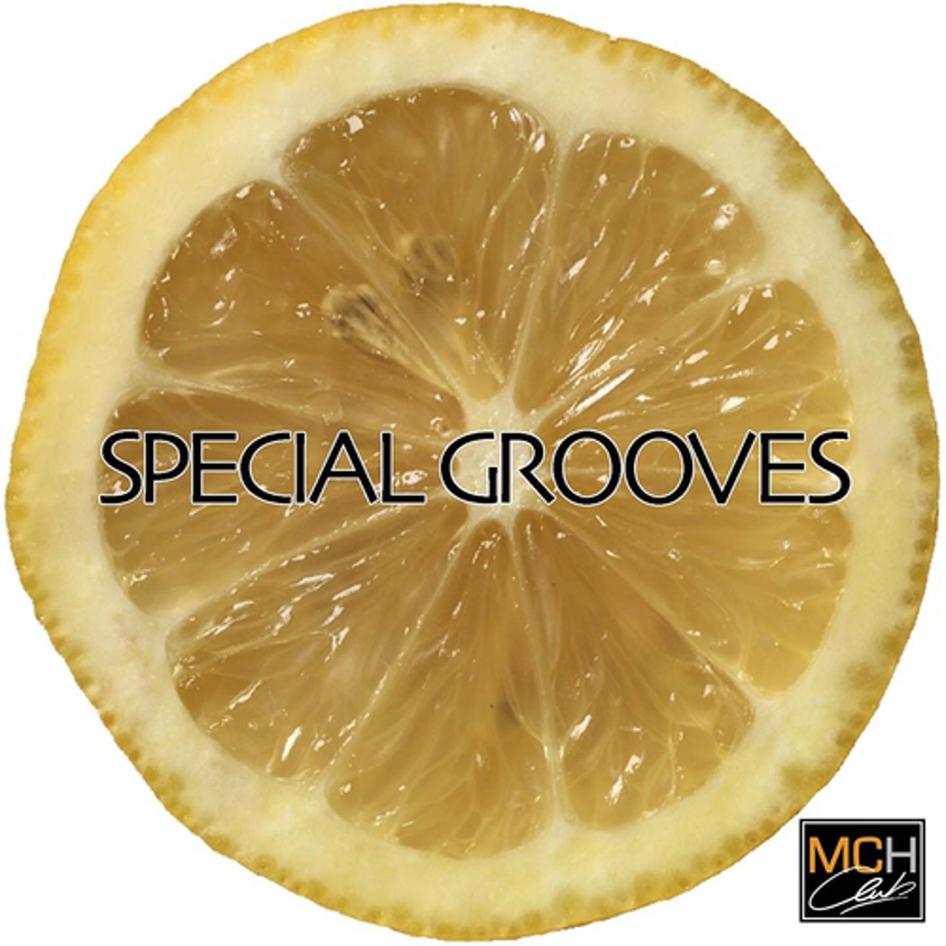 Постер альбома Special grooves