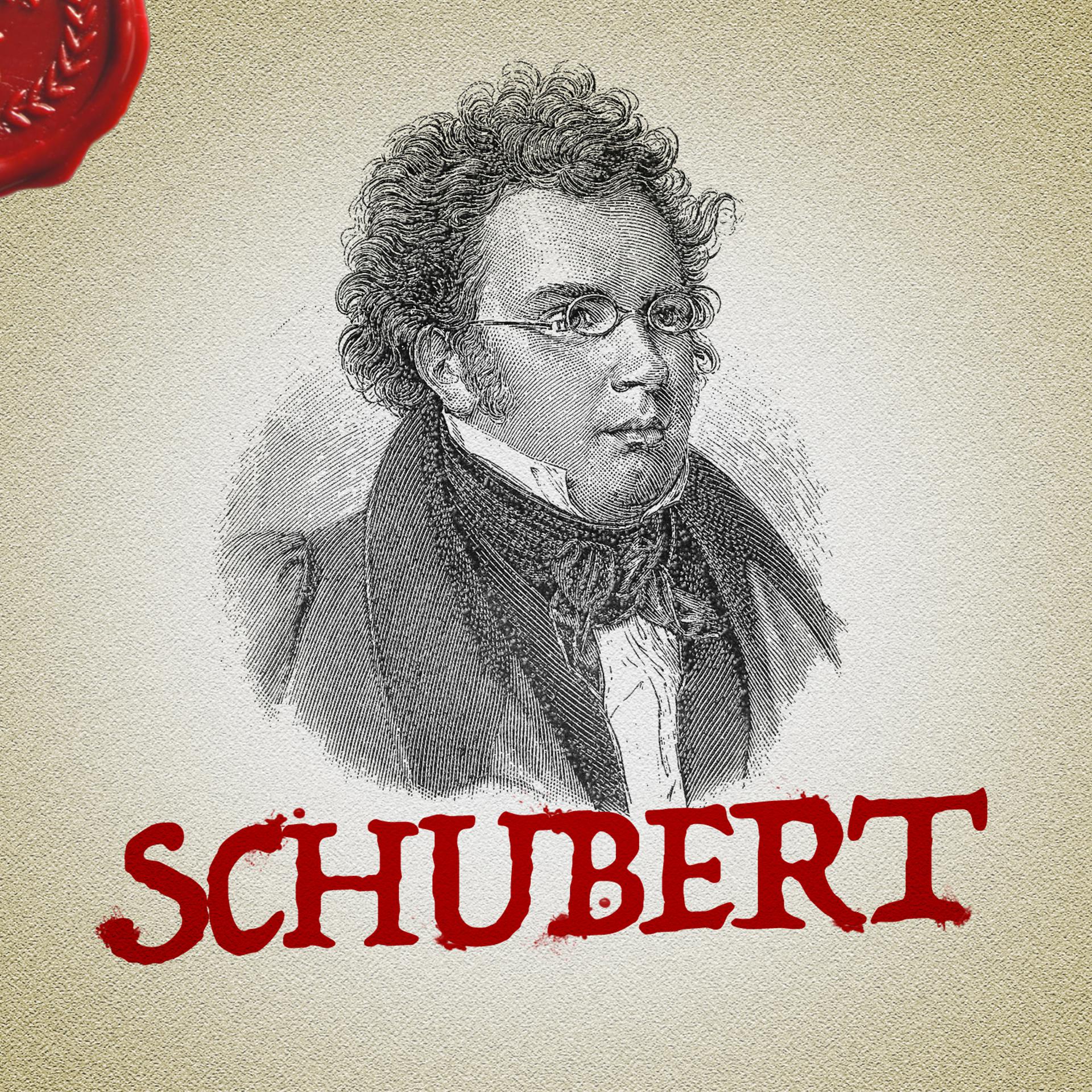 Постер альбома Schubert