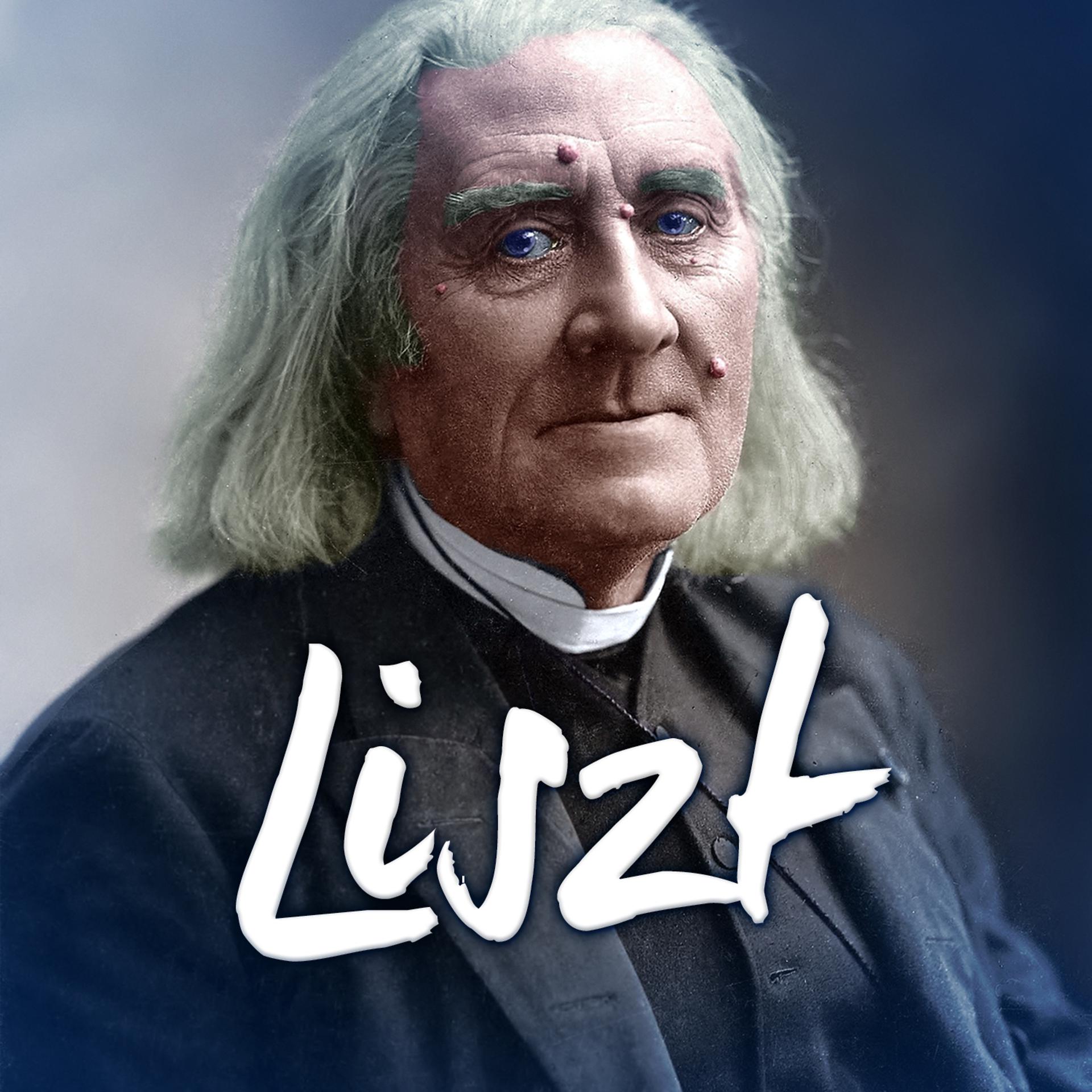 Постер альбома Liszt