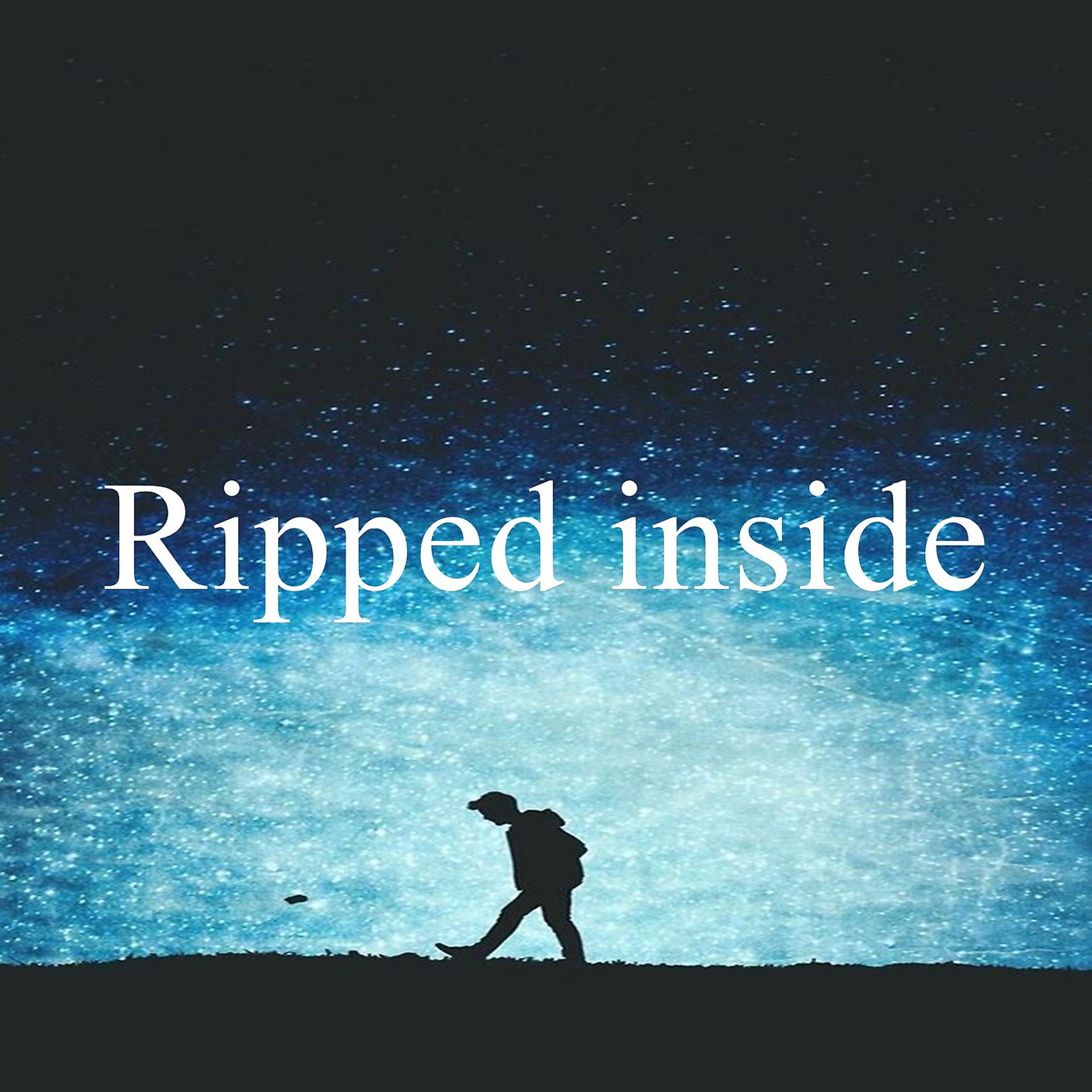 Постер альбома Ripped inside (Instrumental)