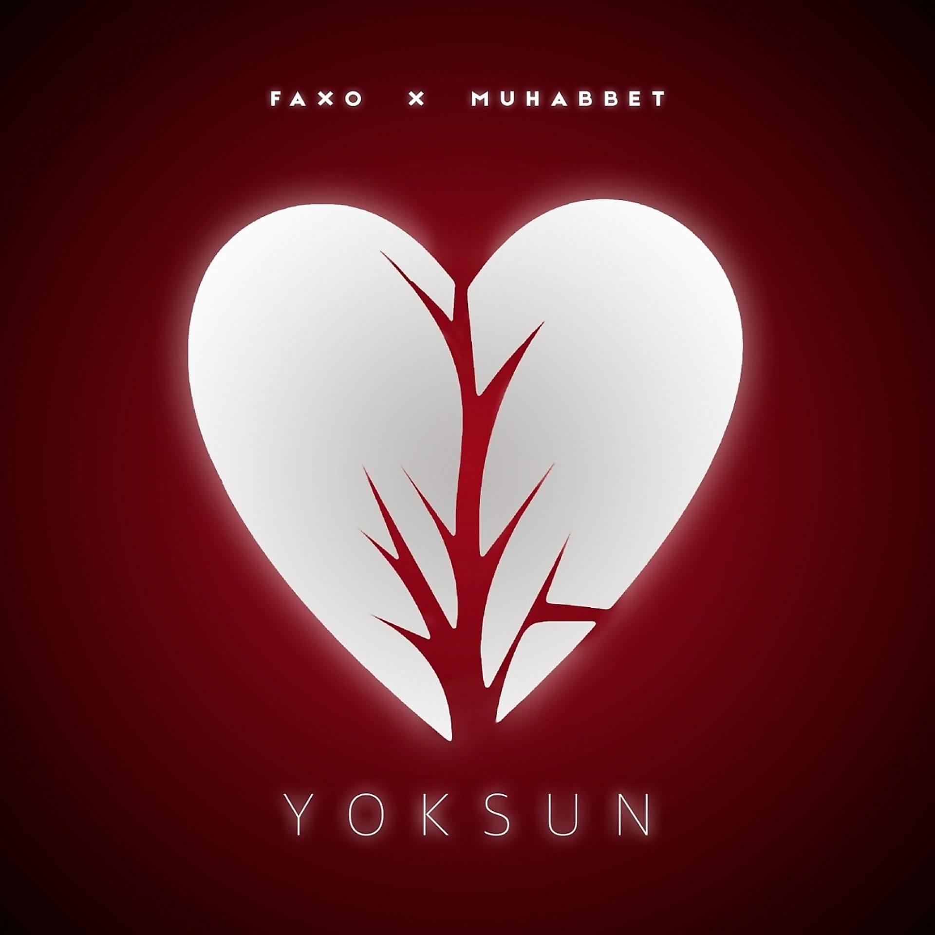 Постер альбома Yoksun