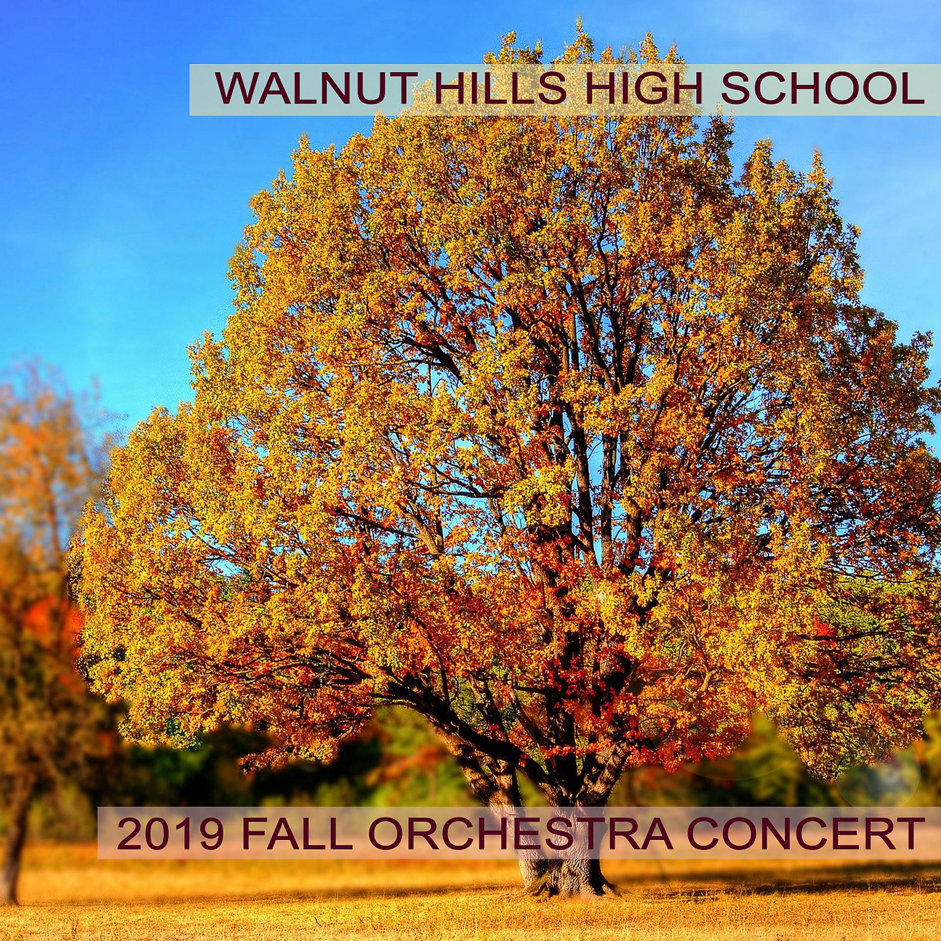 Постер альбома Walnut Hills High School 2019 Fall Orchestra Concert