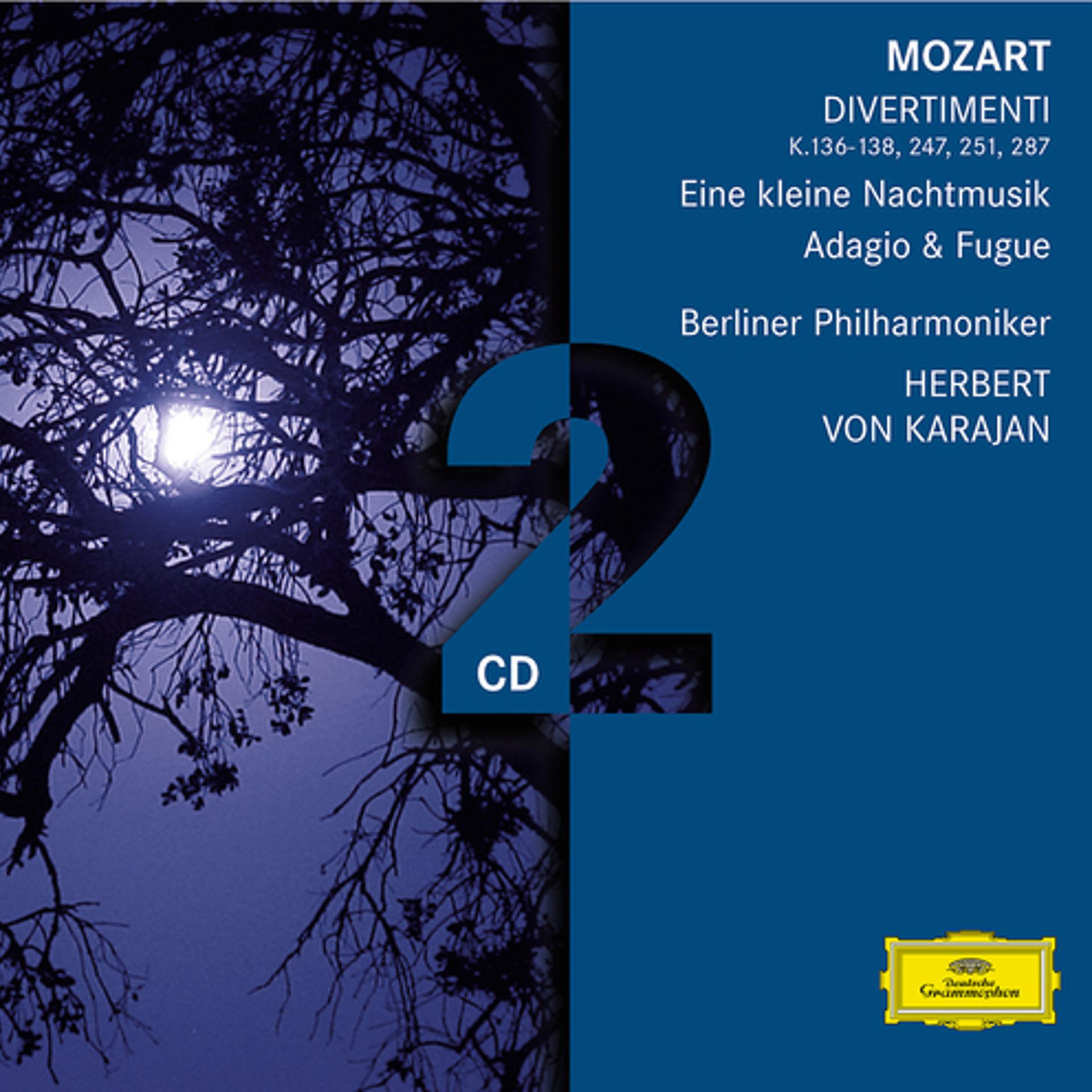 Постер альбома Mozart: Divertimenti