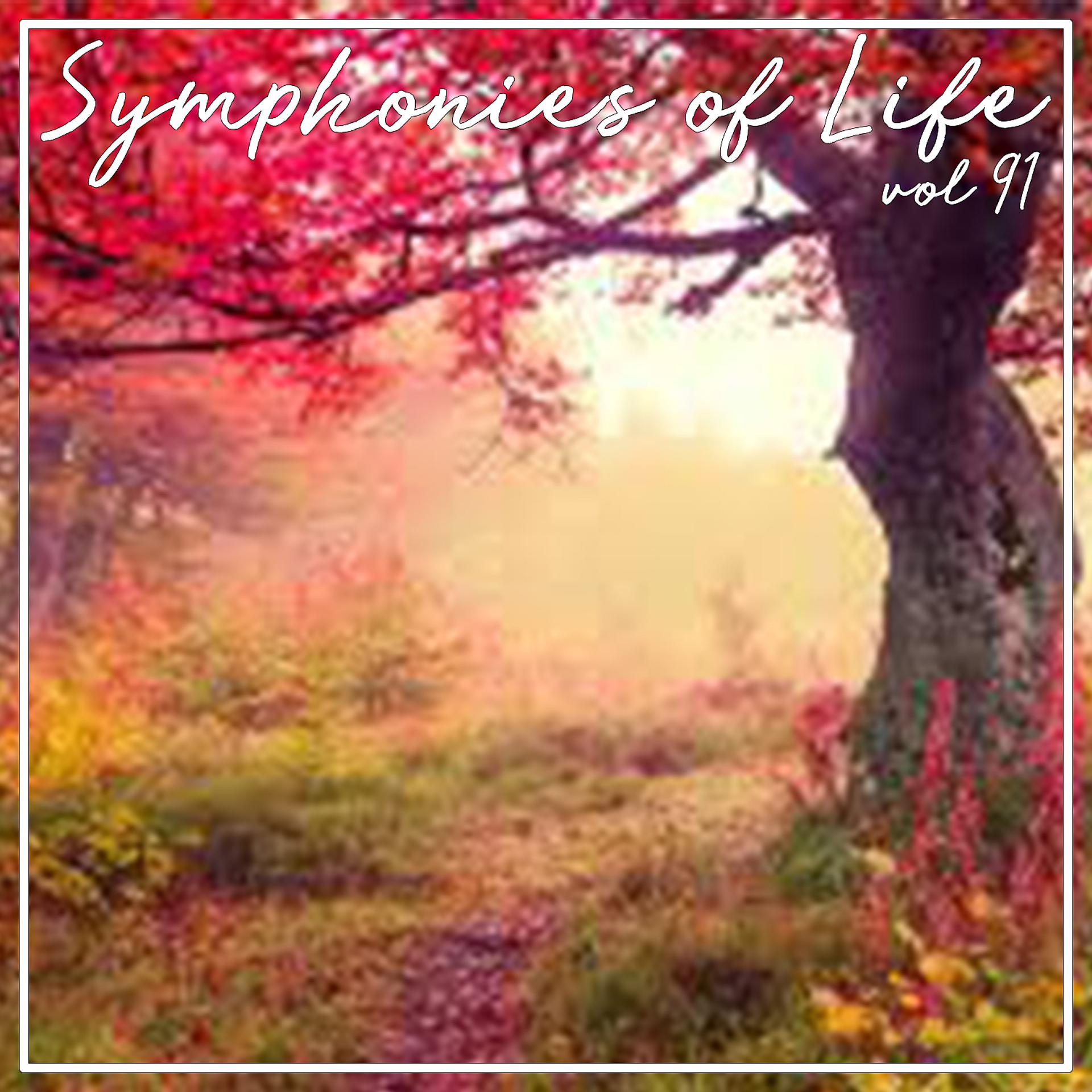 Постер альбома Symphonies Of Life, Vol. 91 - Adam: Der Postillon von Lonjumeau - Vol. 1