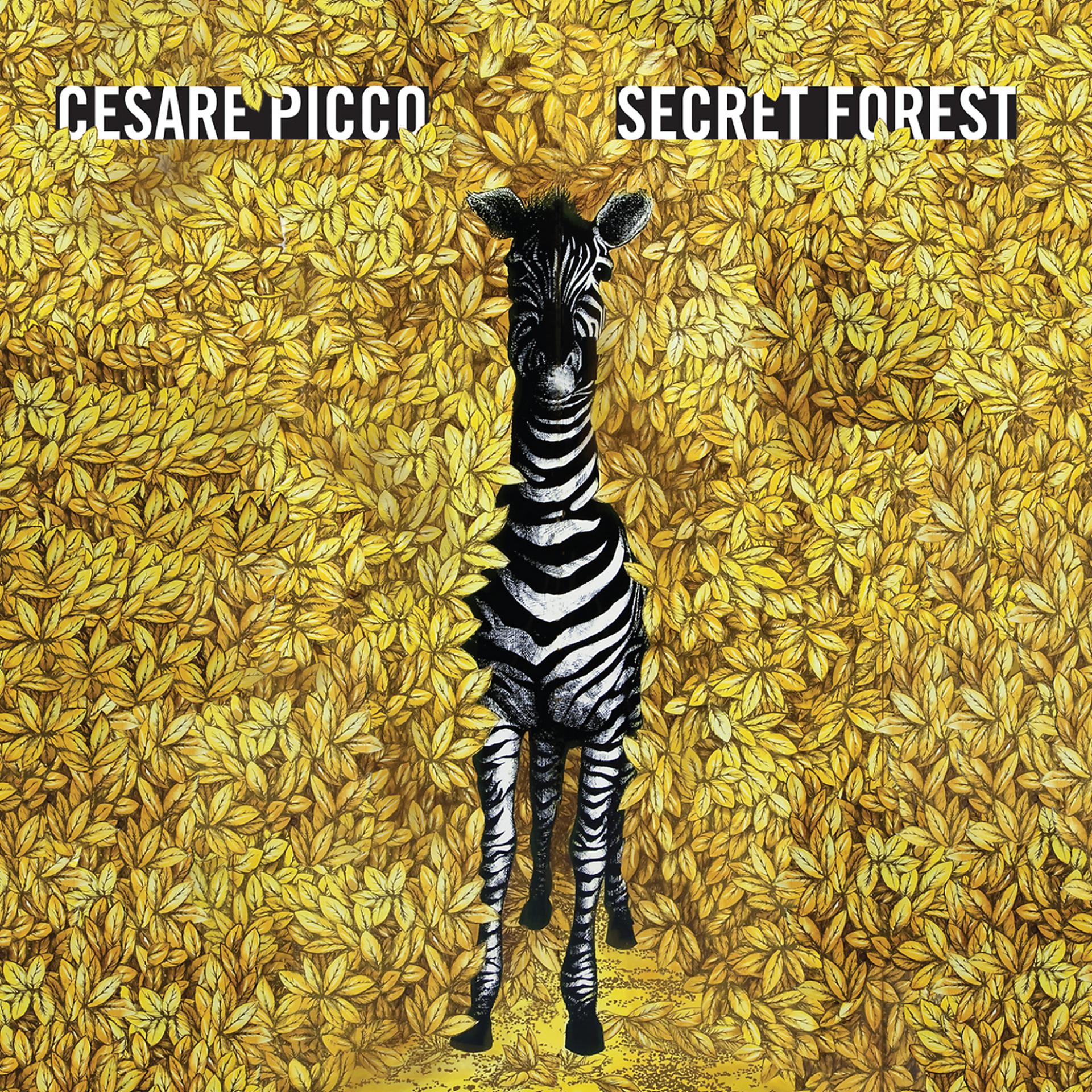 Постер альбома Secret Forest