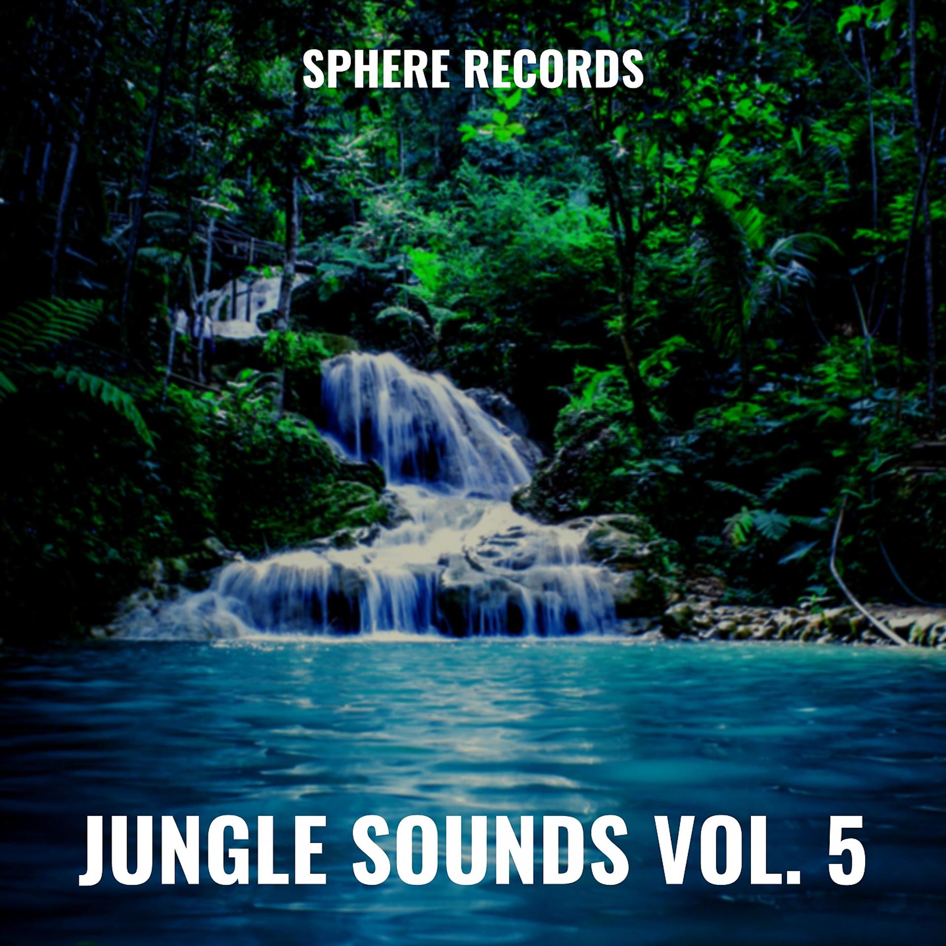 Постер альбома Jungle Sounds Vol. 5