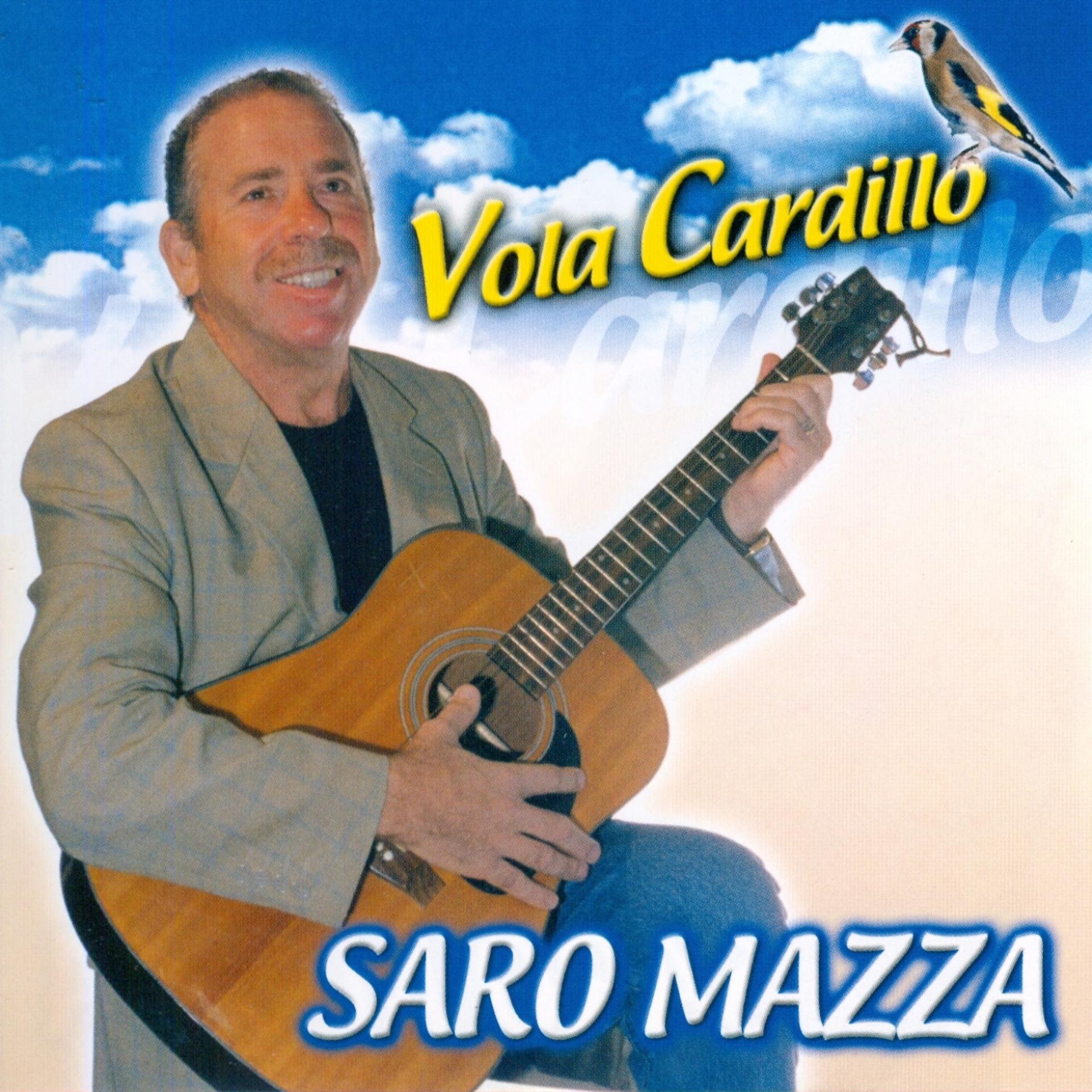 Постер альбома Vola Cardillo