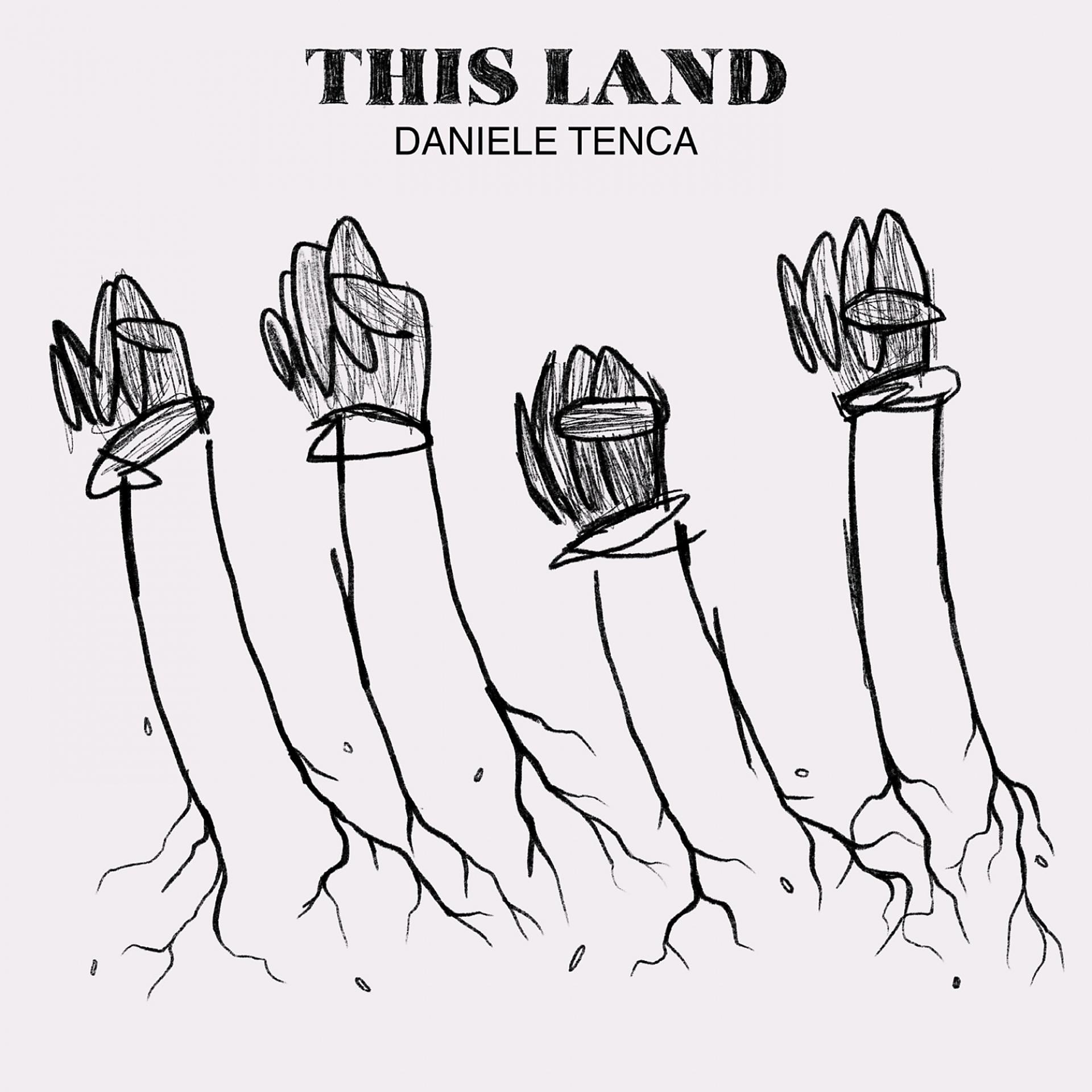 Постер альбома This Land (Cover Version)