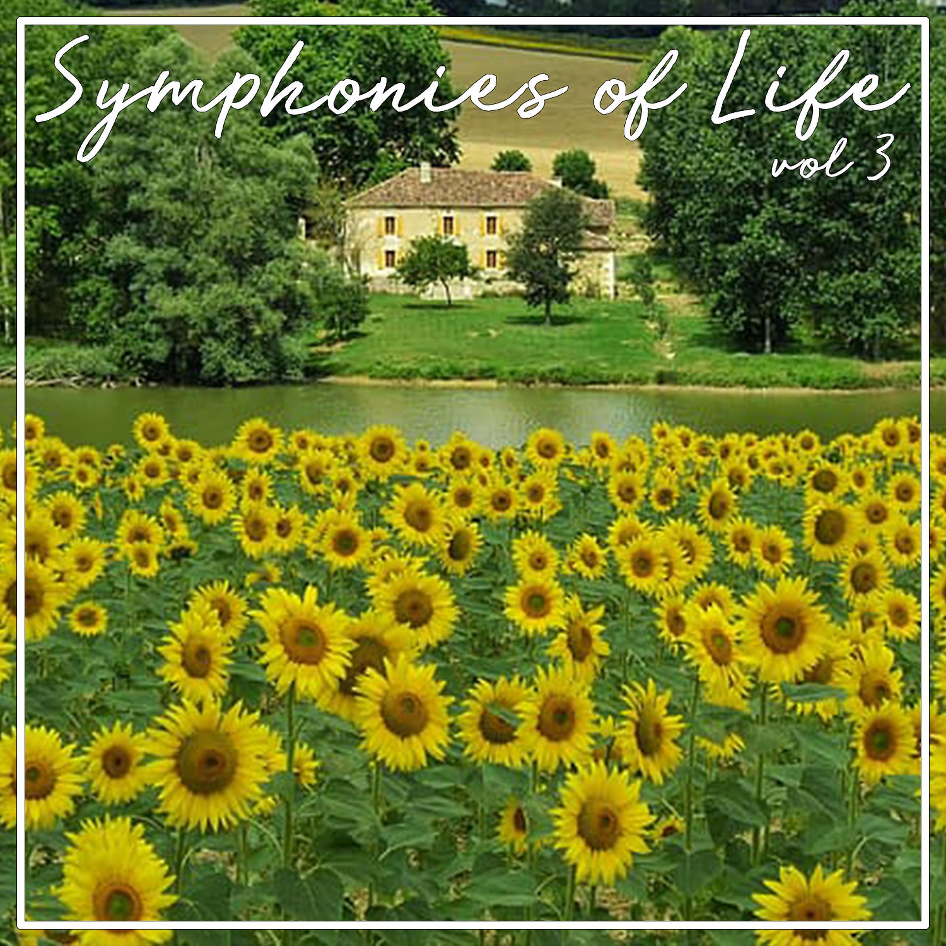 Постер альбома Symphonies Of Life, Vol. 3 - Mozart: The Mozart Album