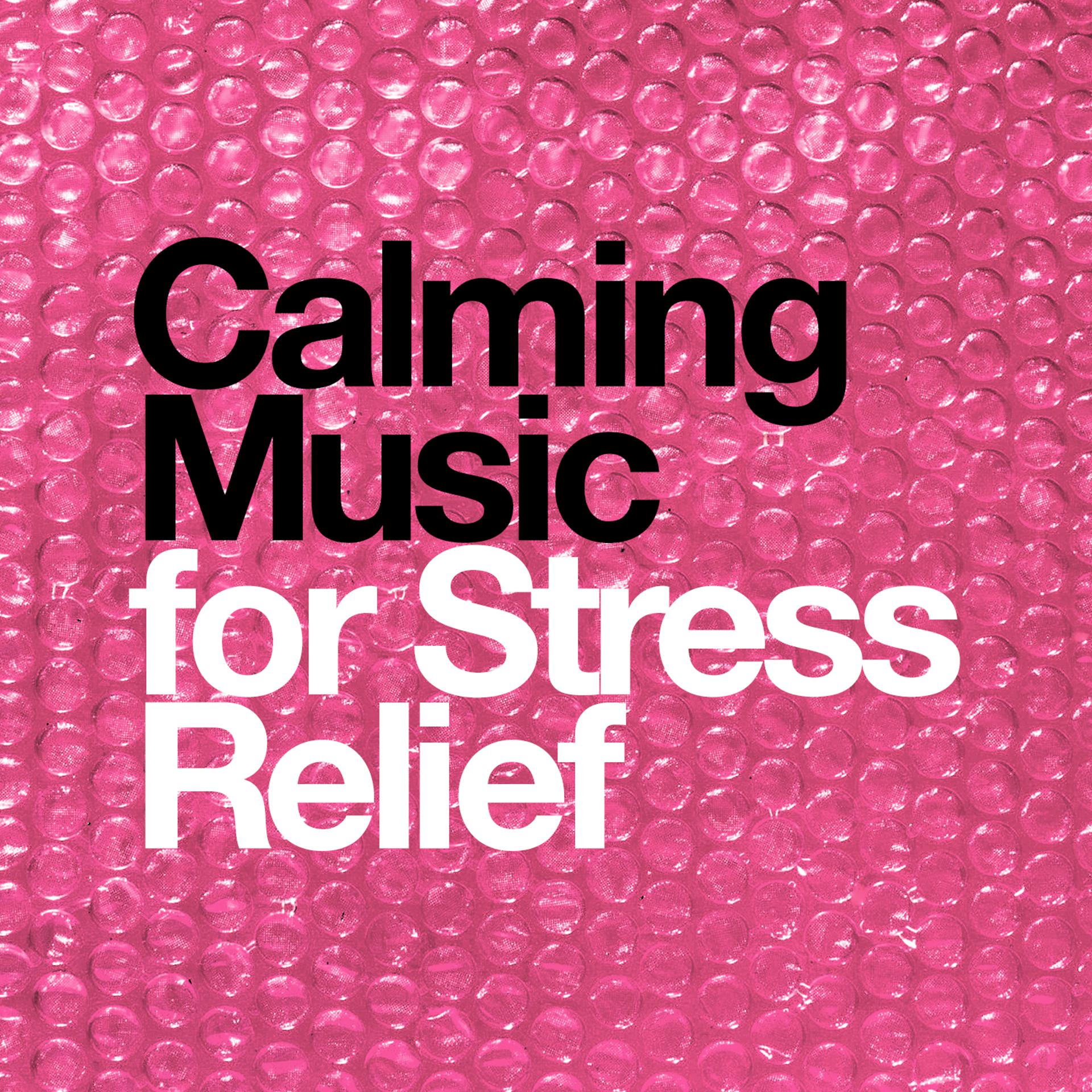 Постер альбома Calming Music for Stress Relief
