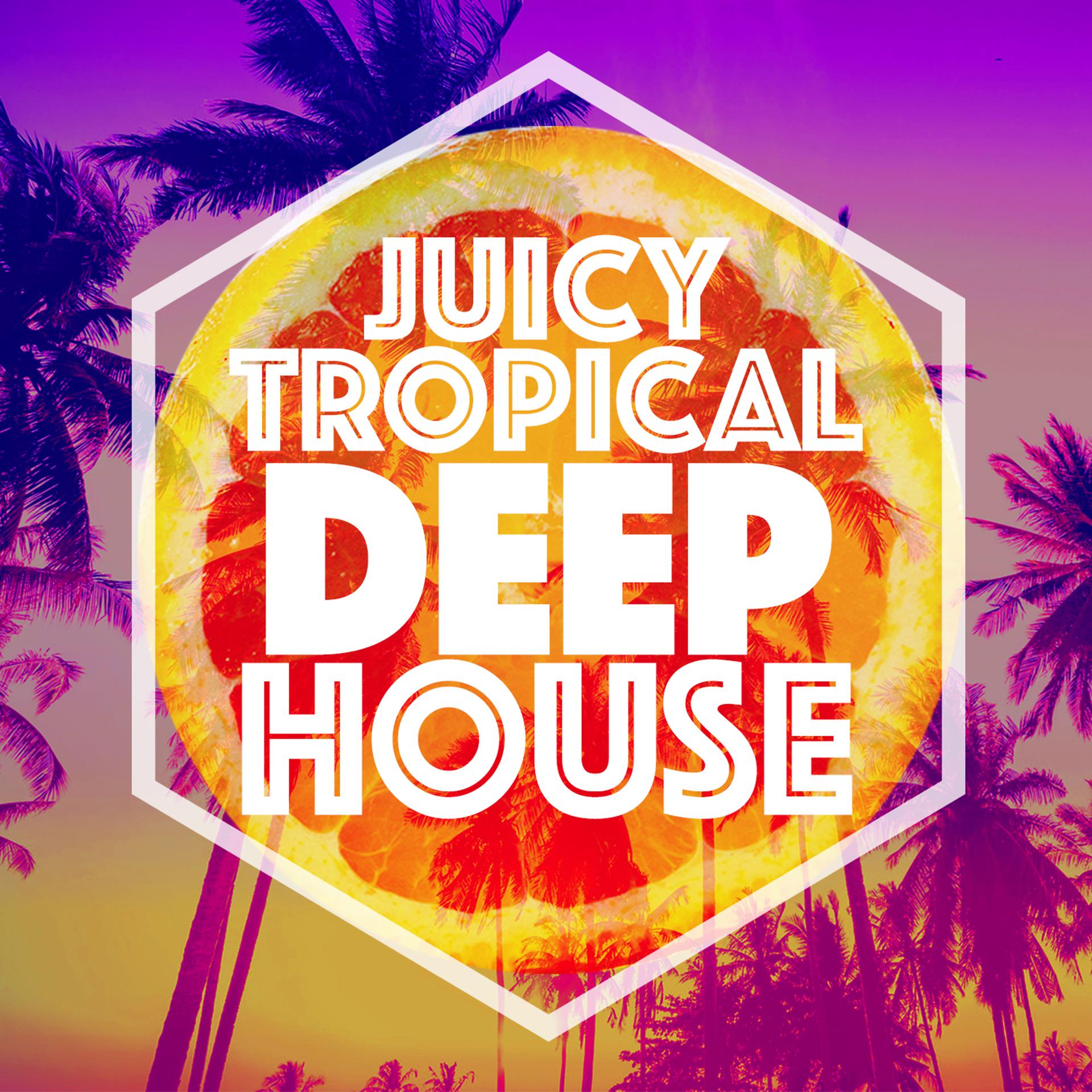 Постер альбома Juicy Tropical Deep House
