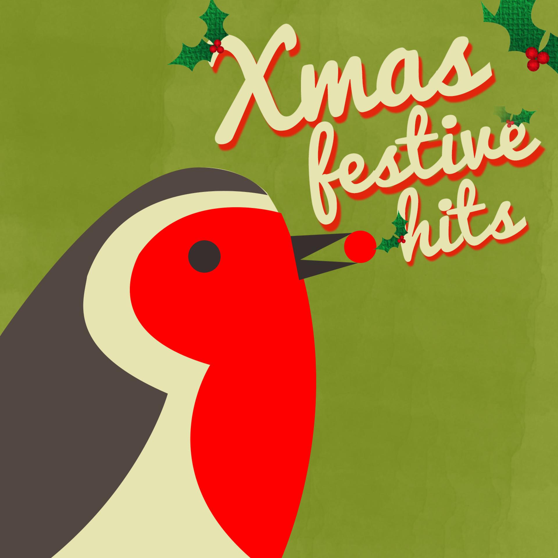Постер альбома Xmas: Festive Hits