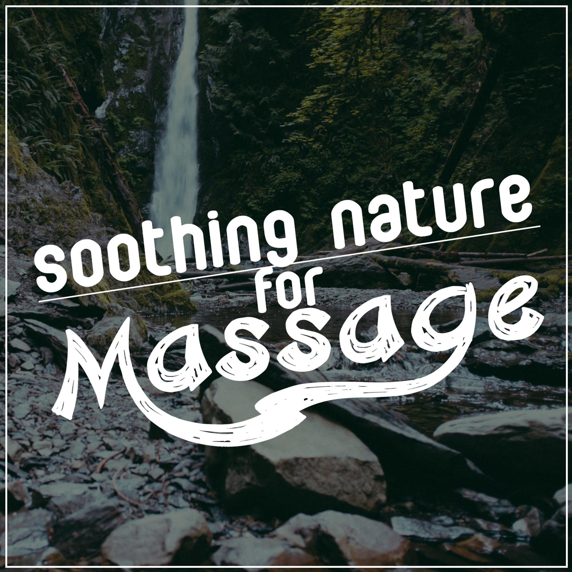 Постер альбома Soothing Nature for Massage