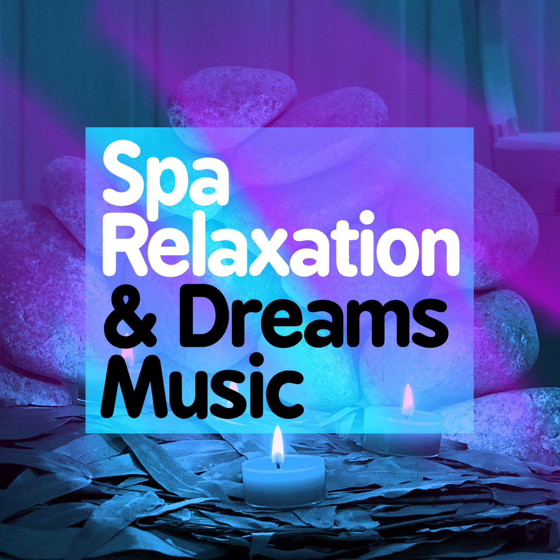 Постер альбома Spa Relaxation & Dreams Music