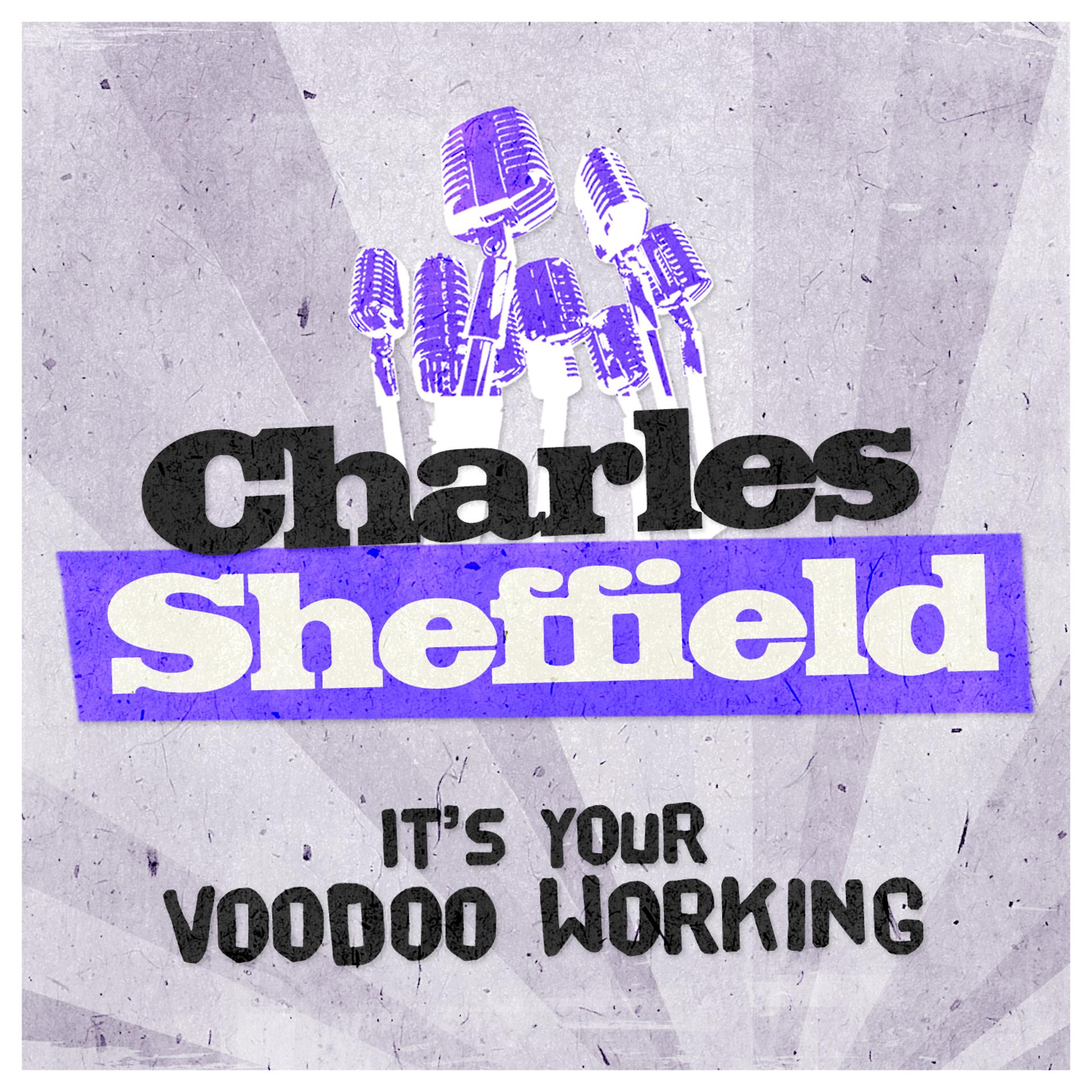 Постер альбома It's Your Voodoo Working