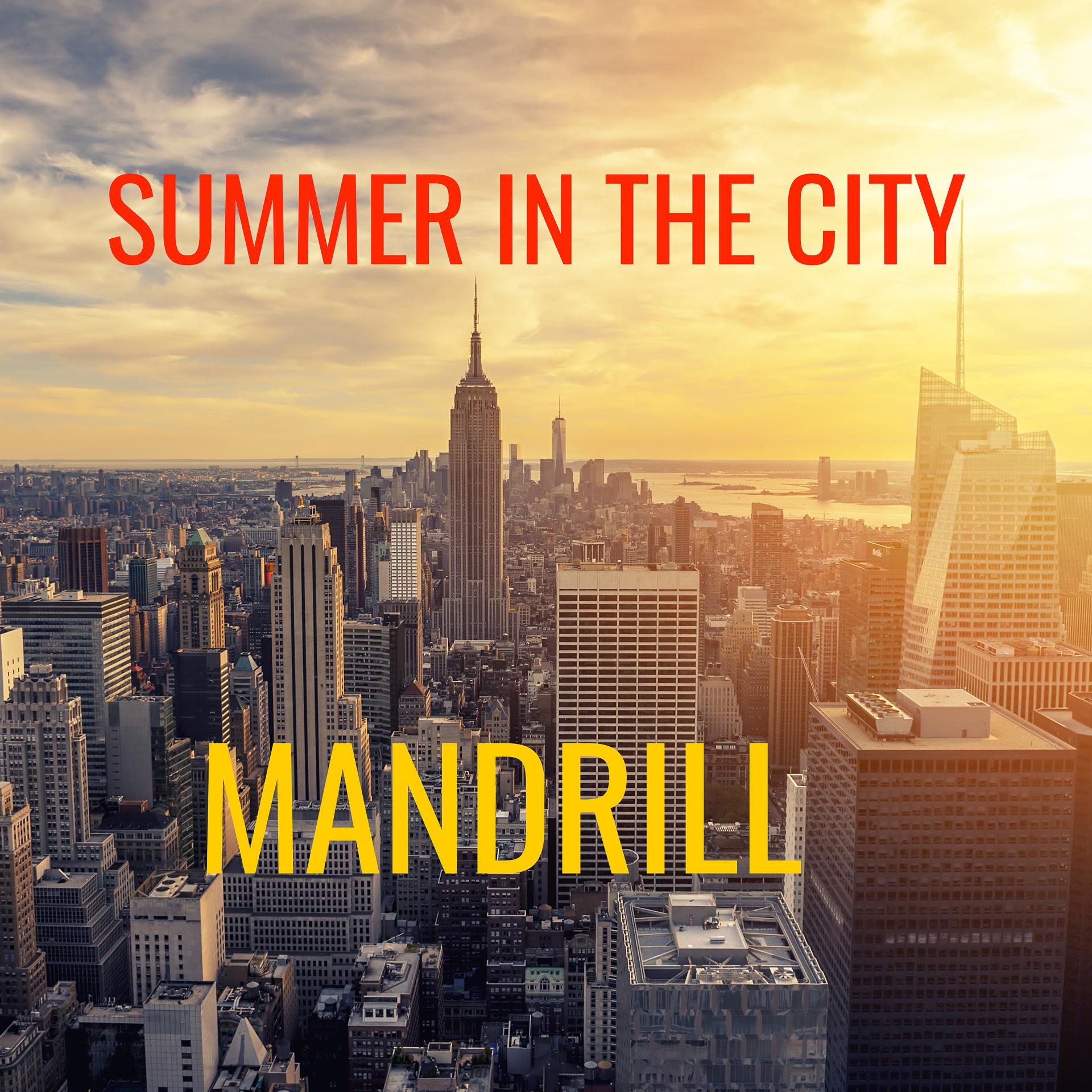 Постер альбома Summer in the City