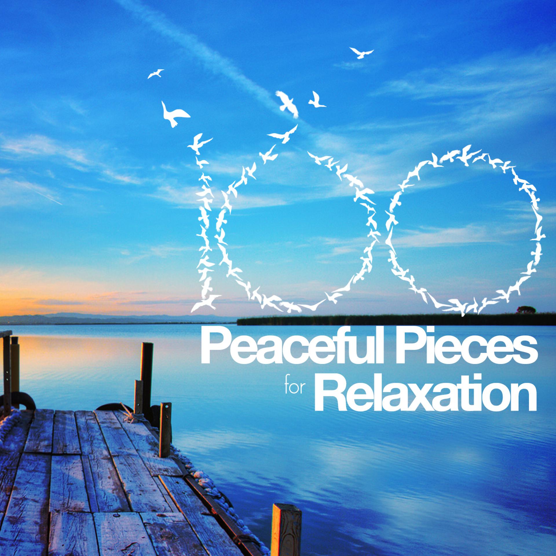 Постер альбома 100 Peaceful Pieces for Relaxation