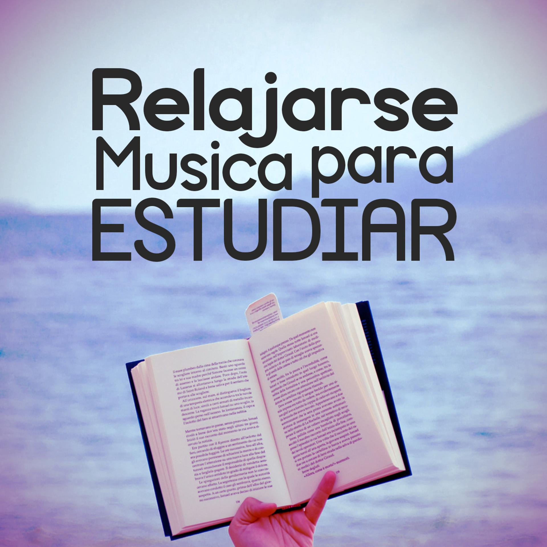 Постер альбома Relajarse: Musica Para Estudiar