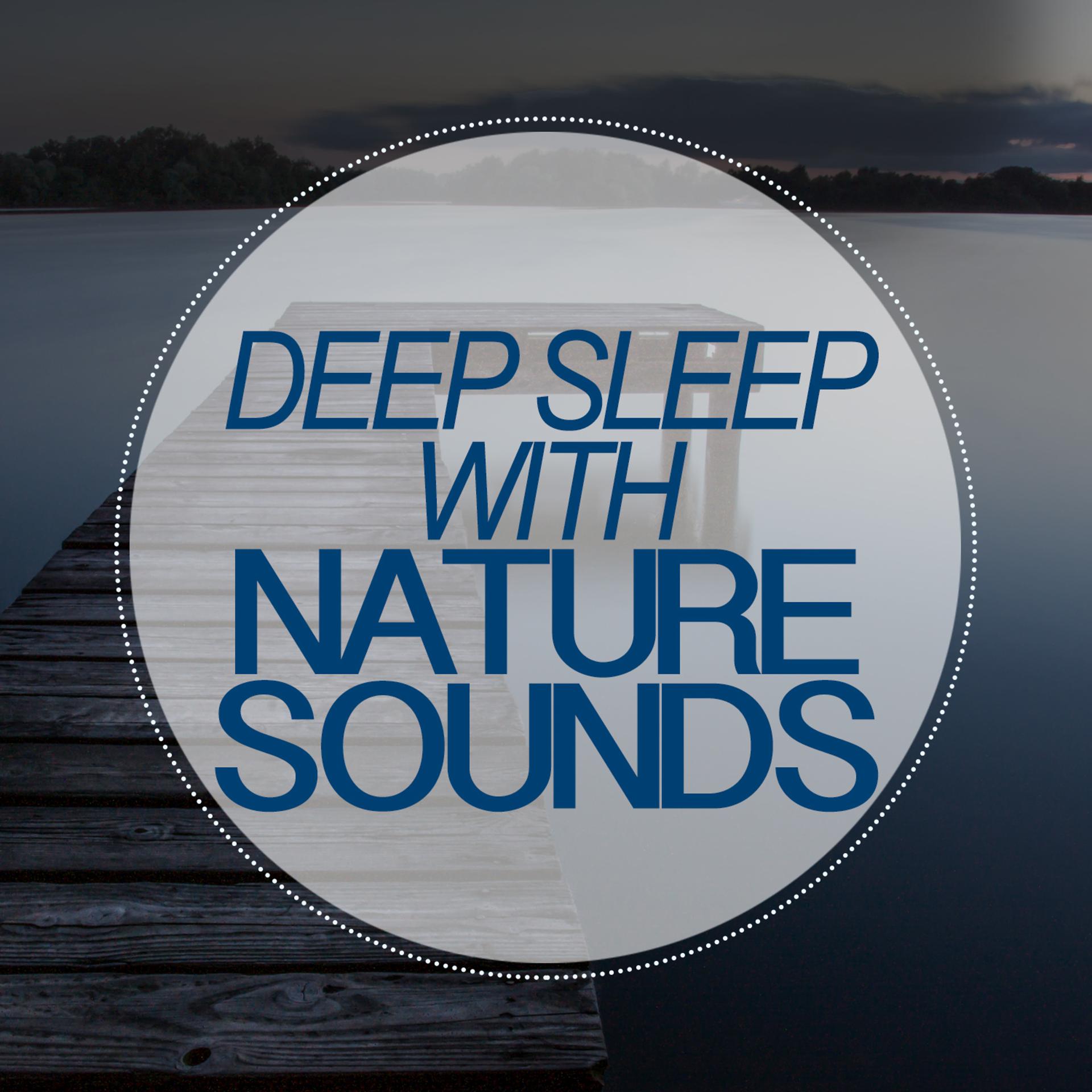 Постер альбома Deep Sleep with Nature Sounds