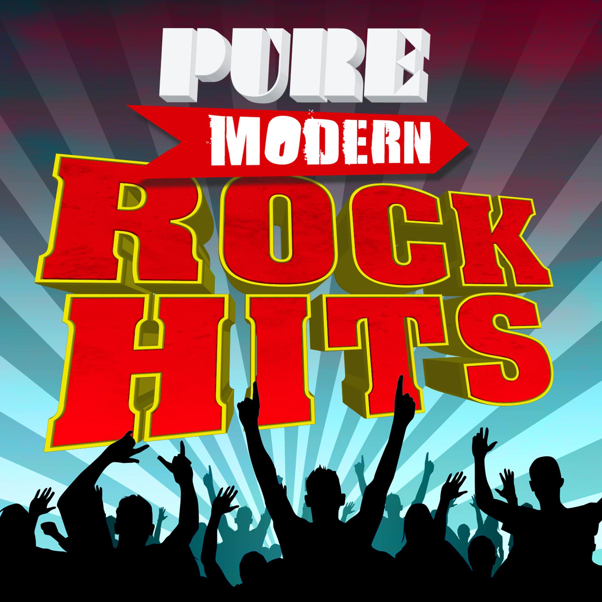 Постер альбома Pure Modern Rock Hits
