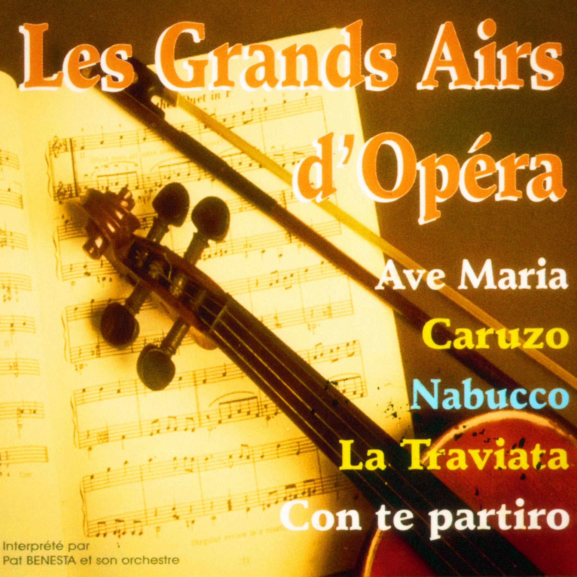 Постер альбома Les grands airs d'opéra