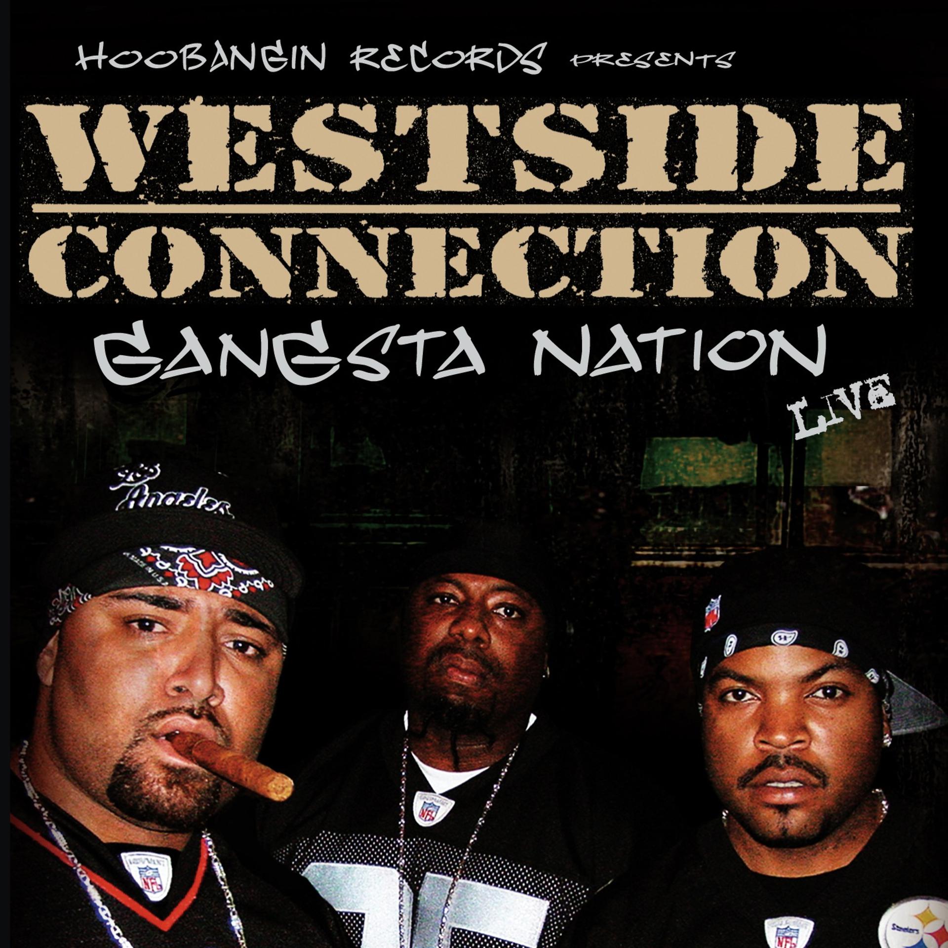 Постер альбома Gangsta Nation Live
