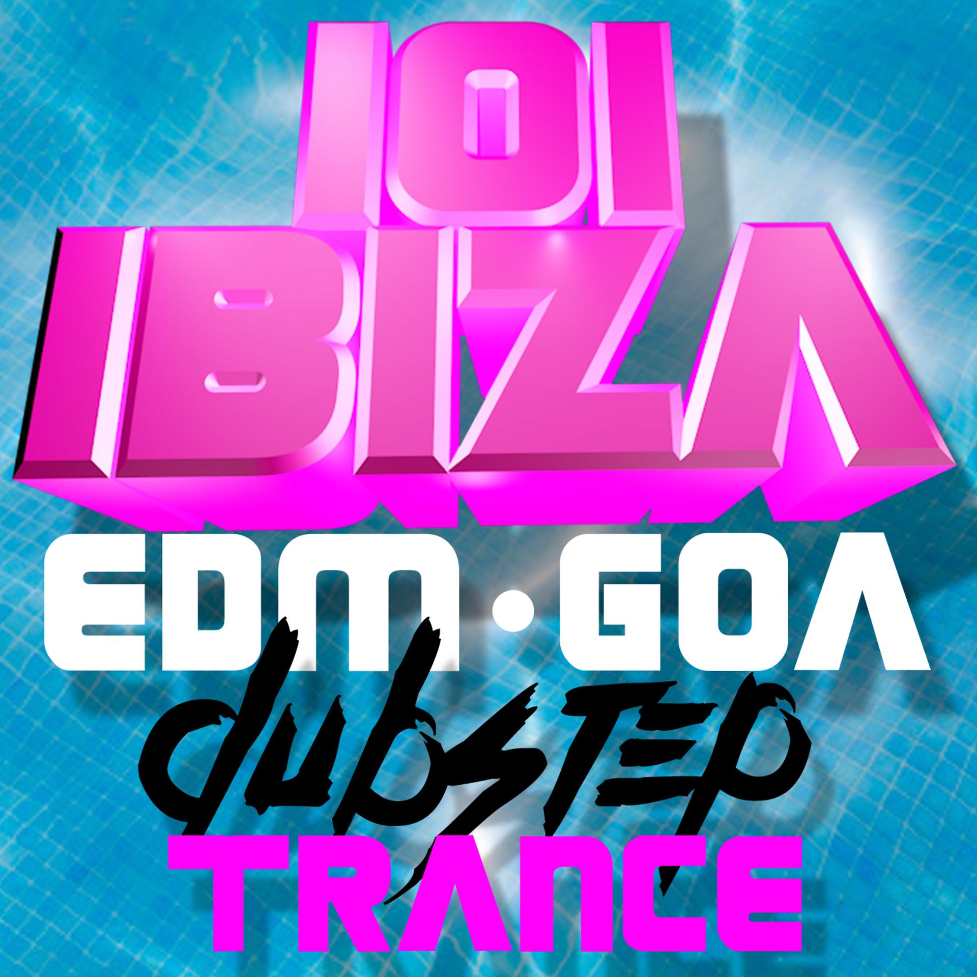 Постер альбома 101 Ibiza EDM Goa Dubstep Trance
